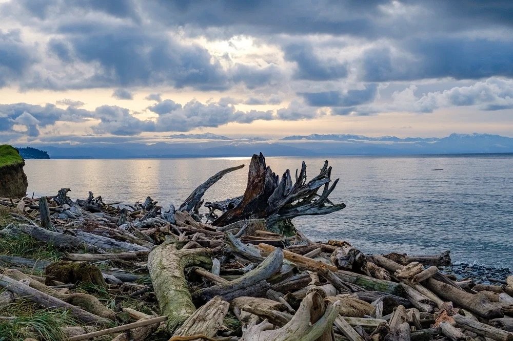 Pride Journal |  Five Regenerative Travel Hacks if You Visit Whidbey and Camano Islands