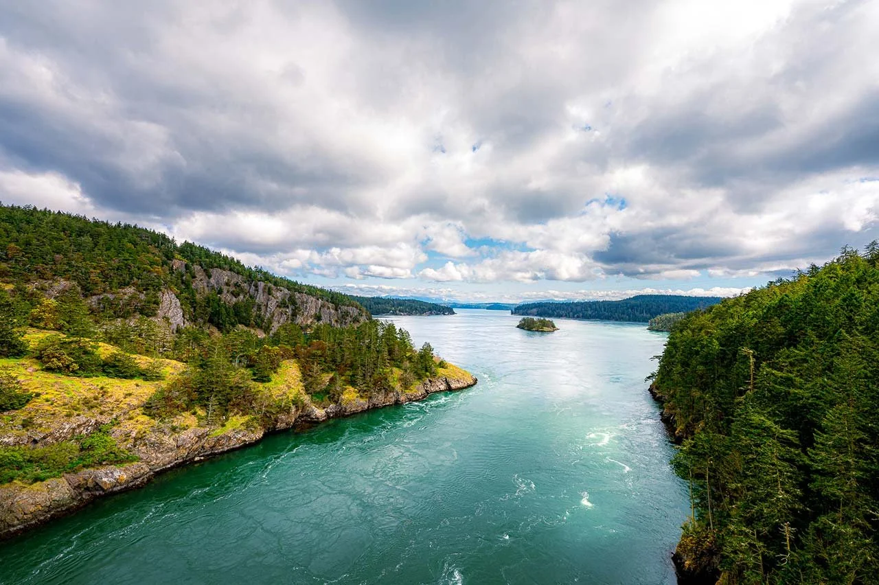 SilverKris |  A peaceful sanctuary for people and wildlife on Seattle’s Whidbey Island