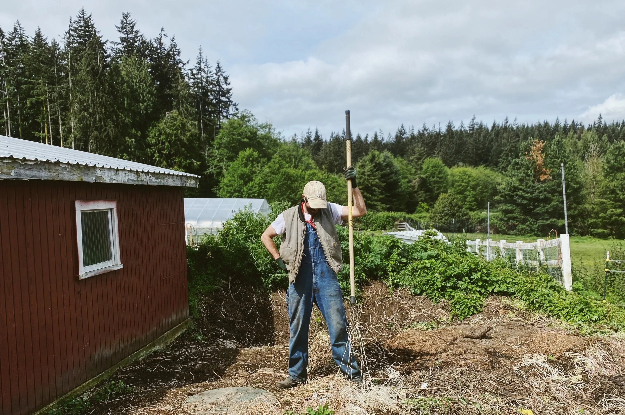 Local Food | A Personal Journey