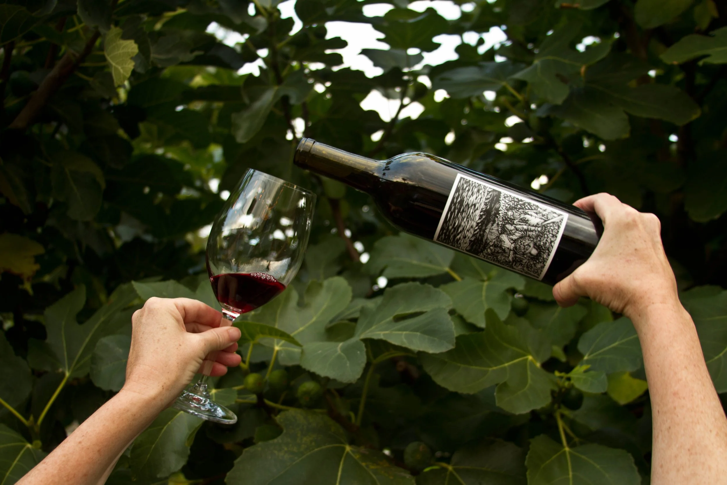 Tyla's Wine Highlight: Orr, Royal Slope Red, Stillwater Creek, WA 2022 