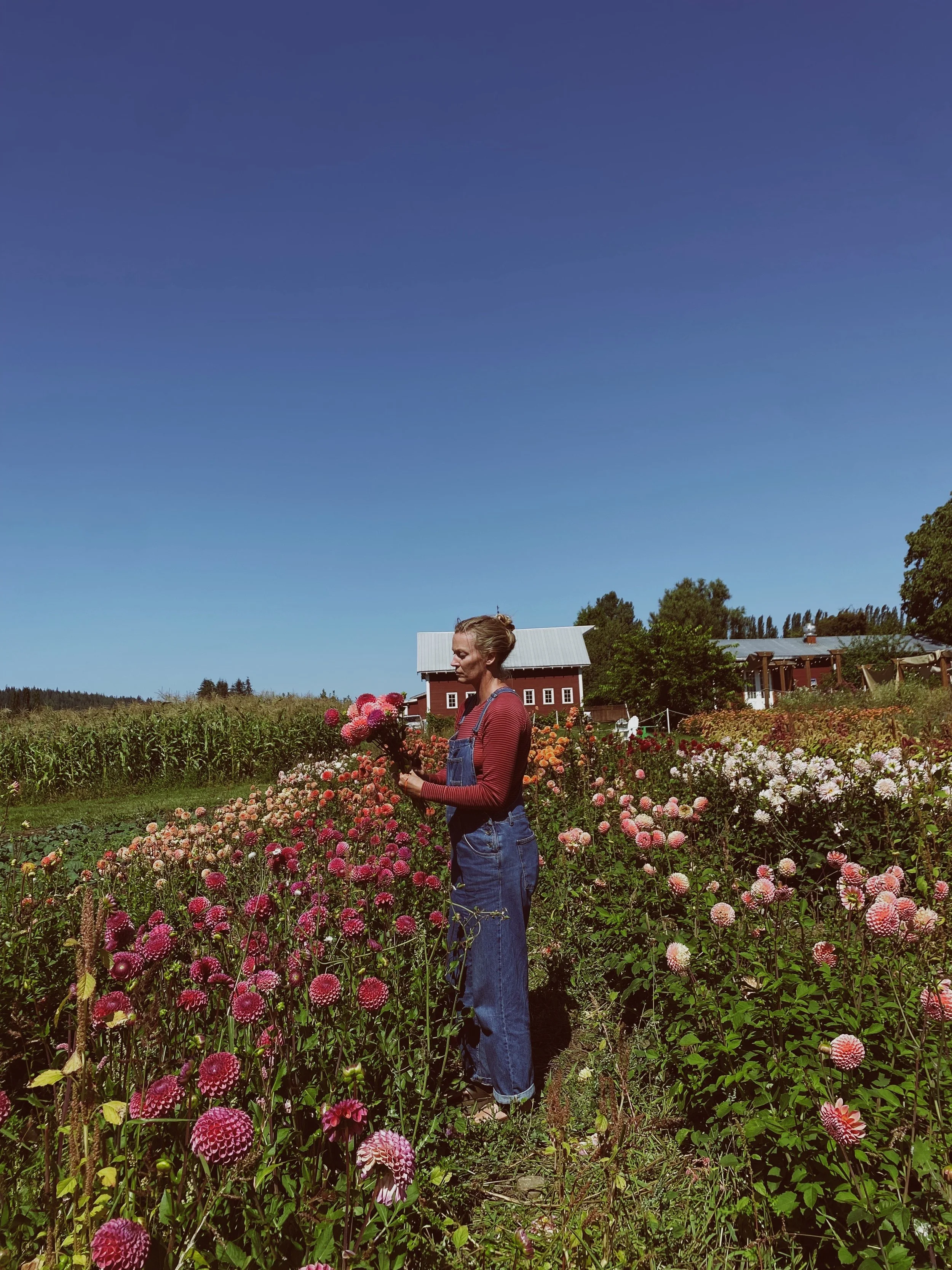 Daliha Tuber Workshop with Savannah Reid, November 11th