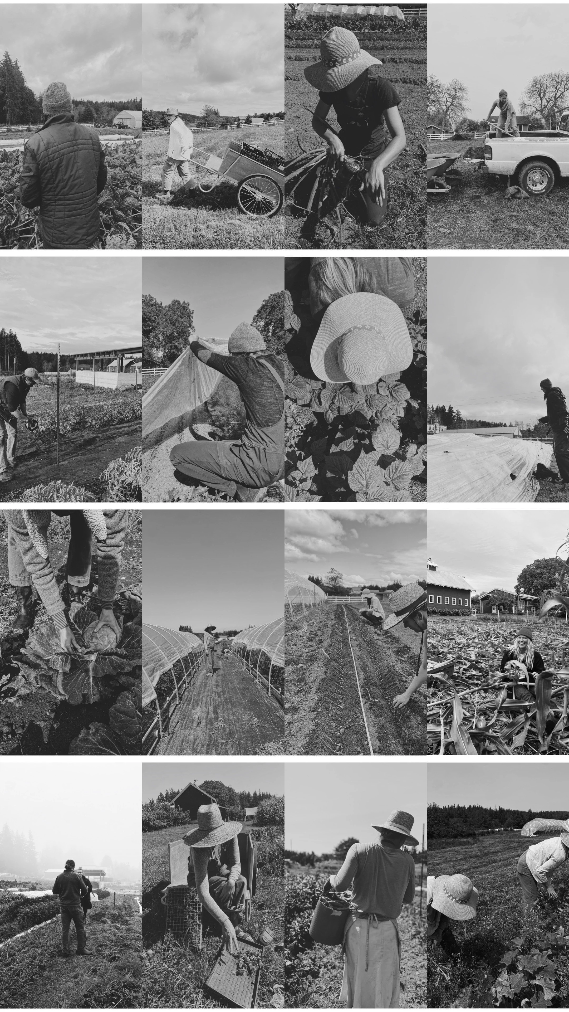 The Farm: A Year in Black &amp; White