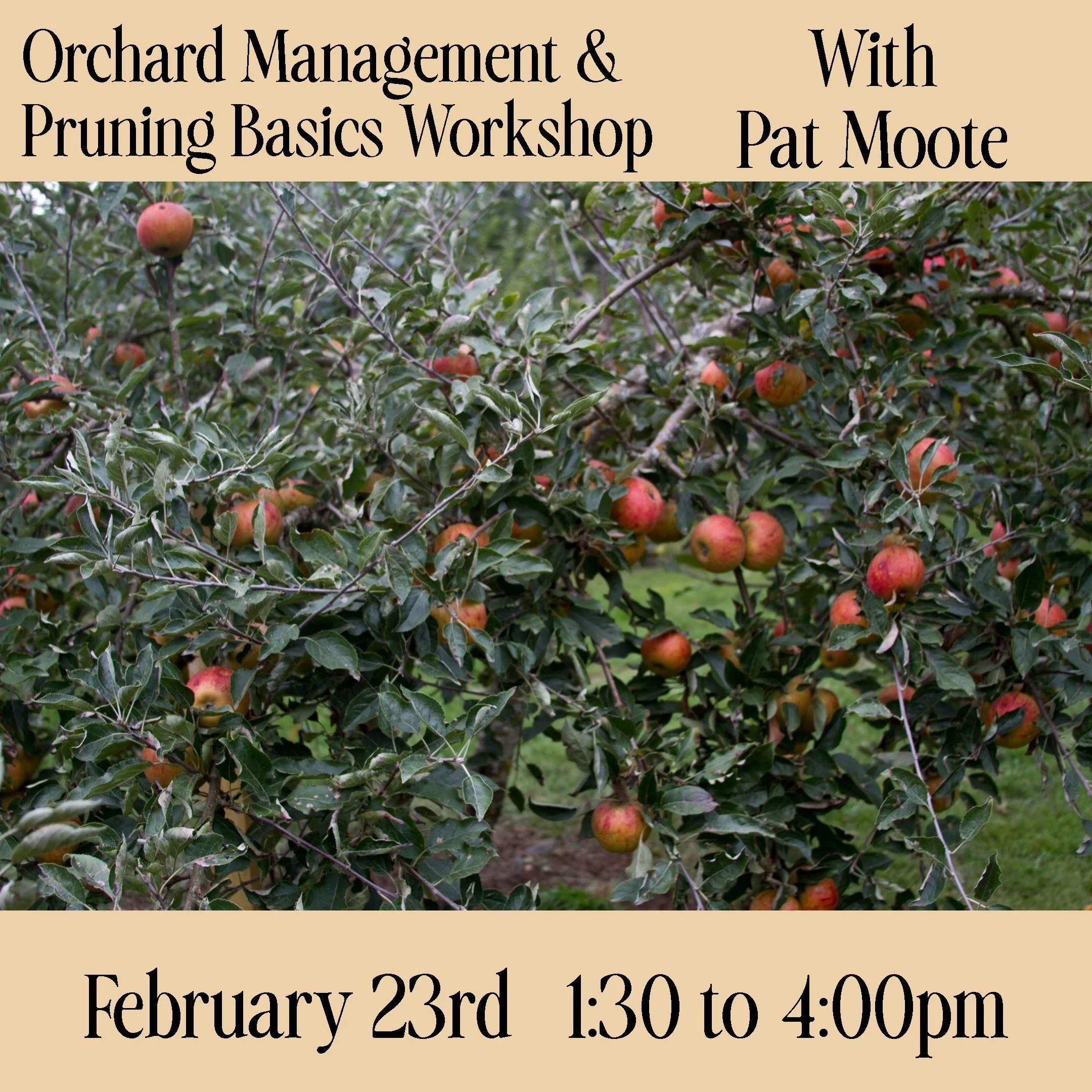 How To Prune  Workshop With Pat Moote