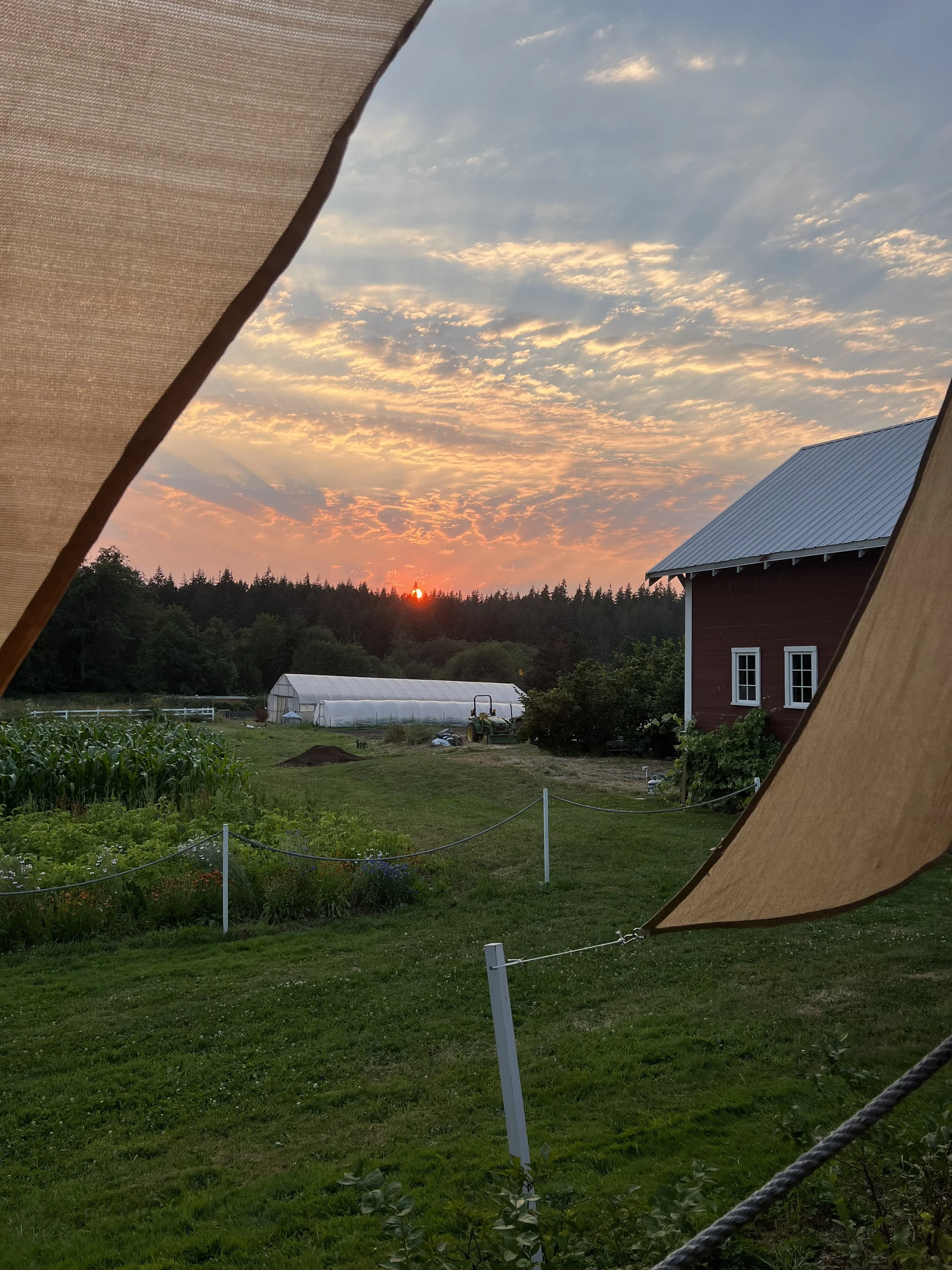 We are on break from June 29-July 9, Reopening to our new summer hours Thursday-Sunday until September 15. 