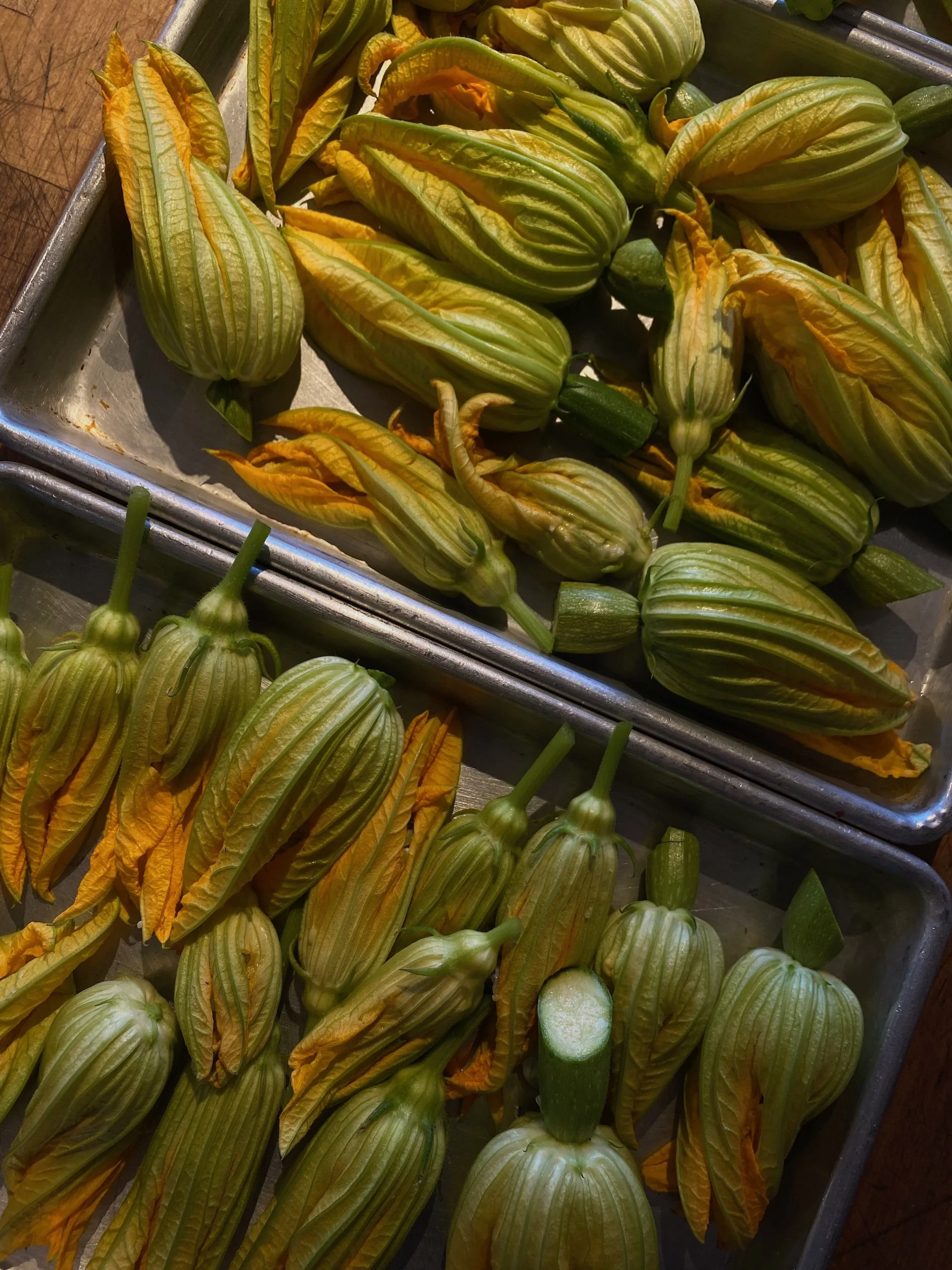 more squash blossom.jpg