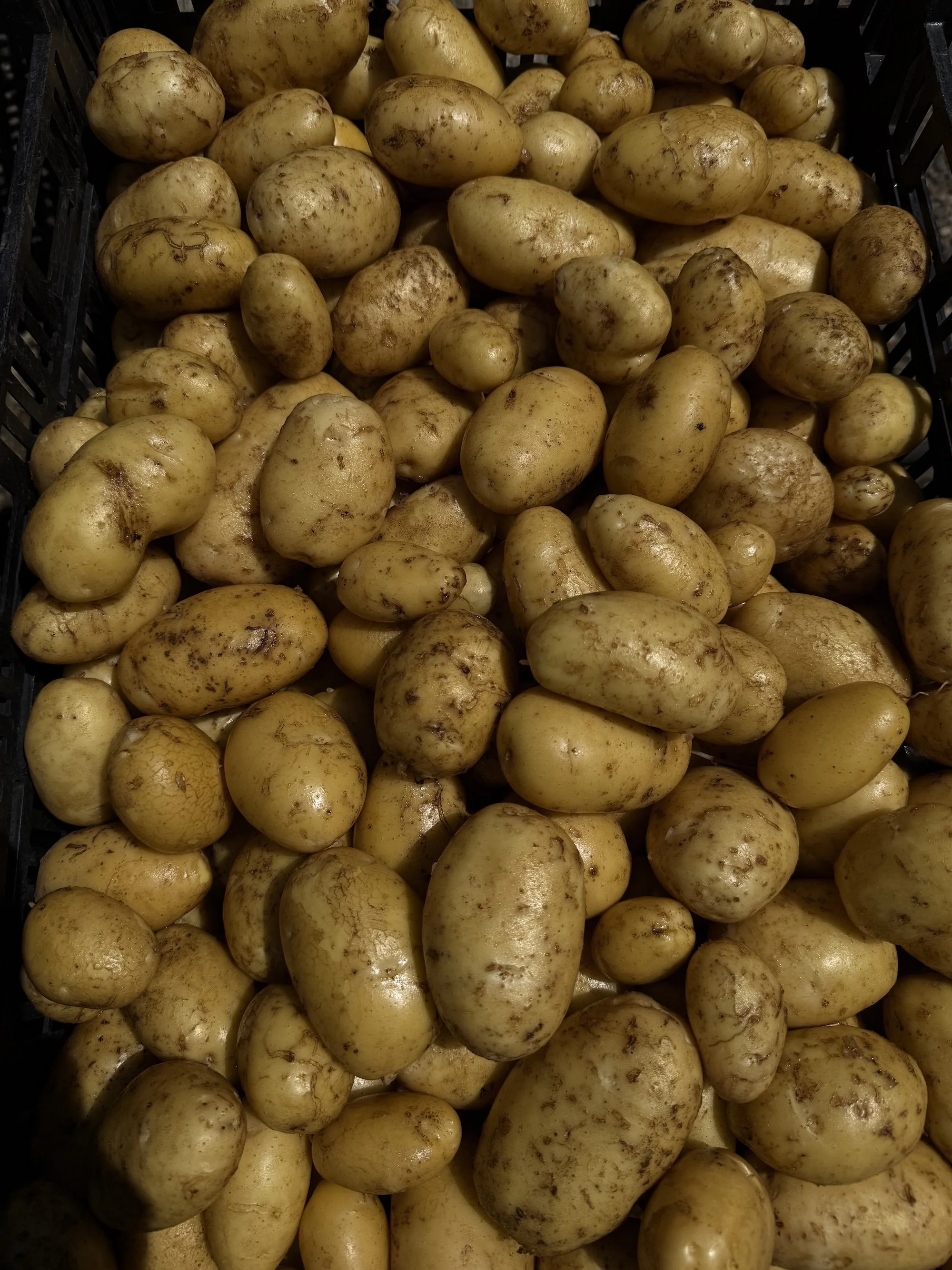 potatoes.jpg