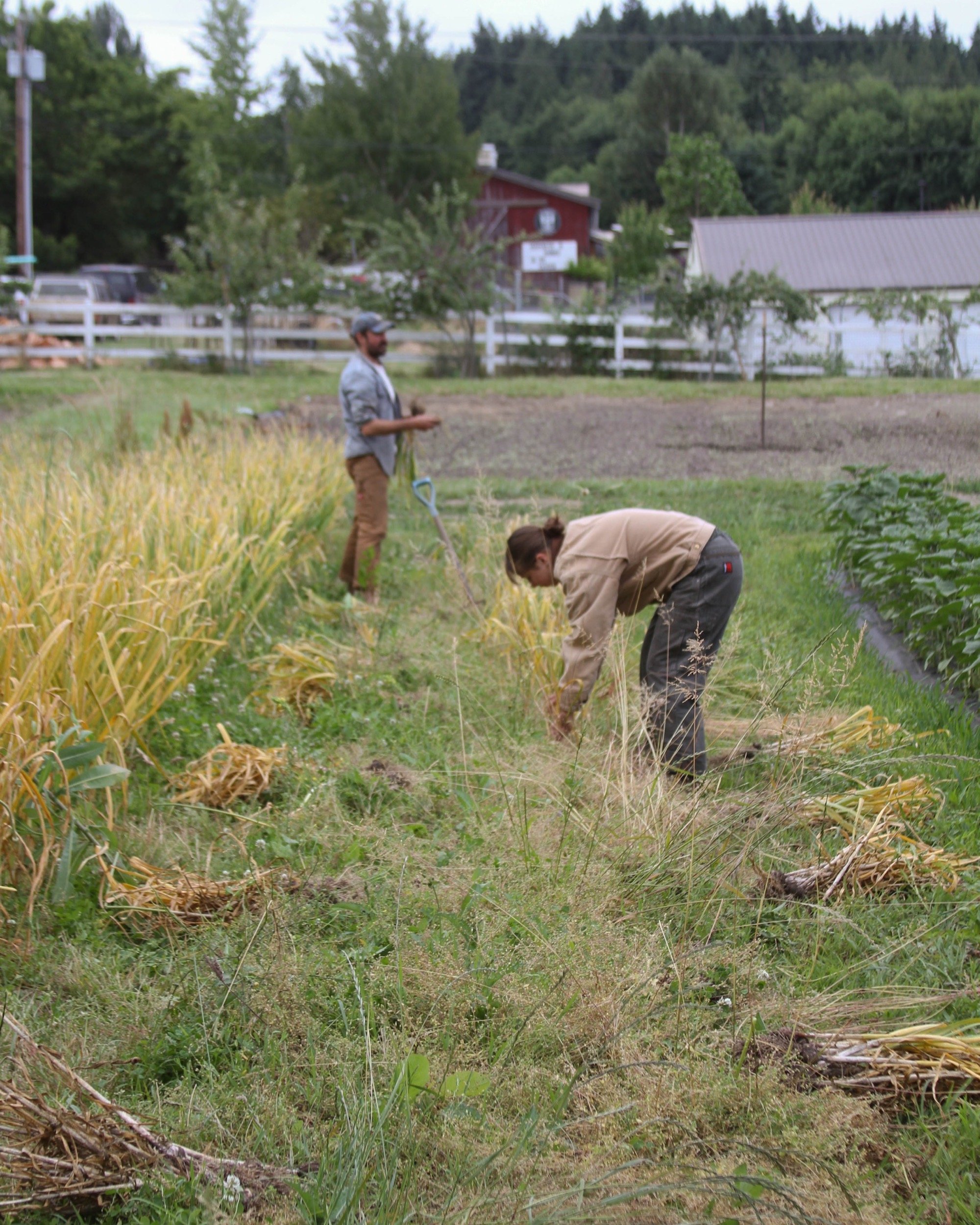 field work.jpg