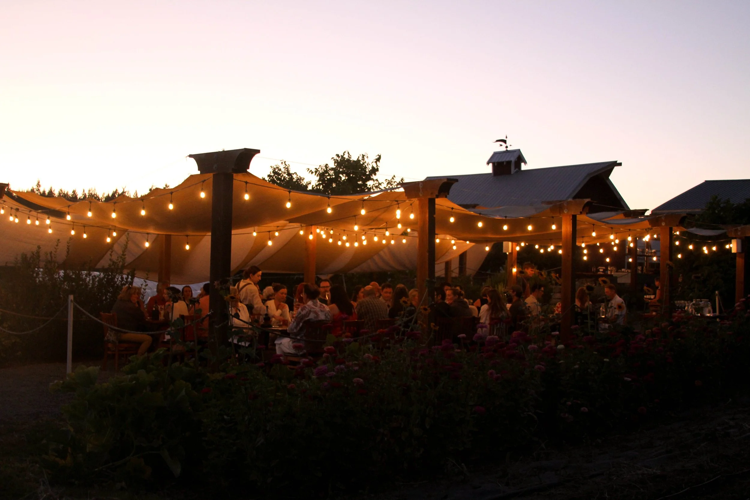 August Newsletter: Summers Abundance