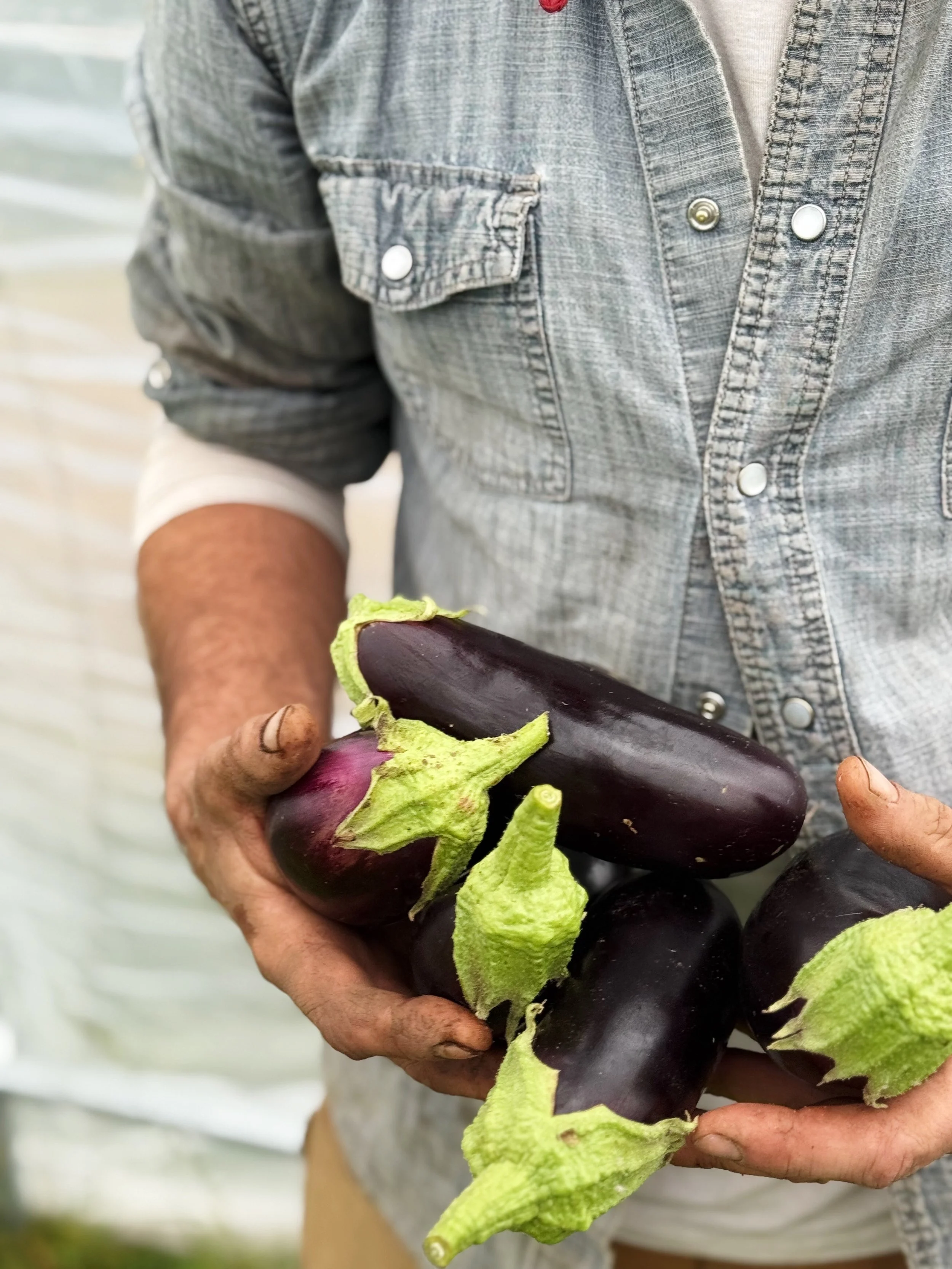 FullSizeRender (8).jpeg