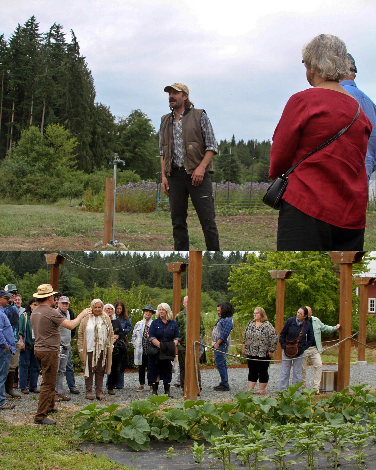 Looking Back: Summer Solstice June 22, 2025