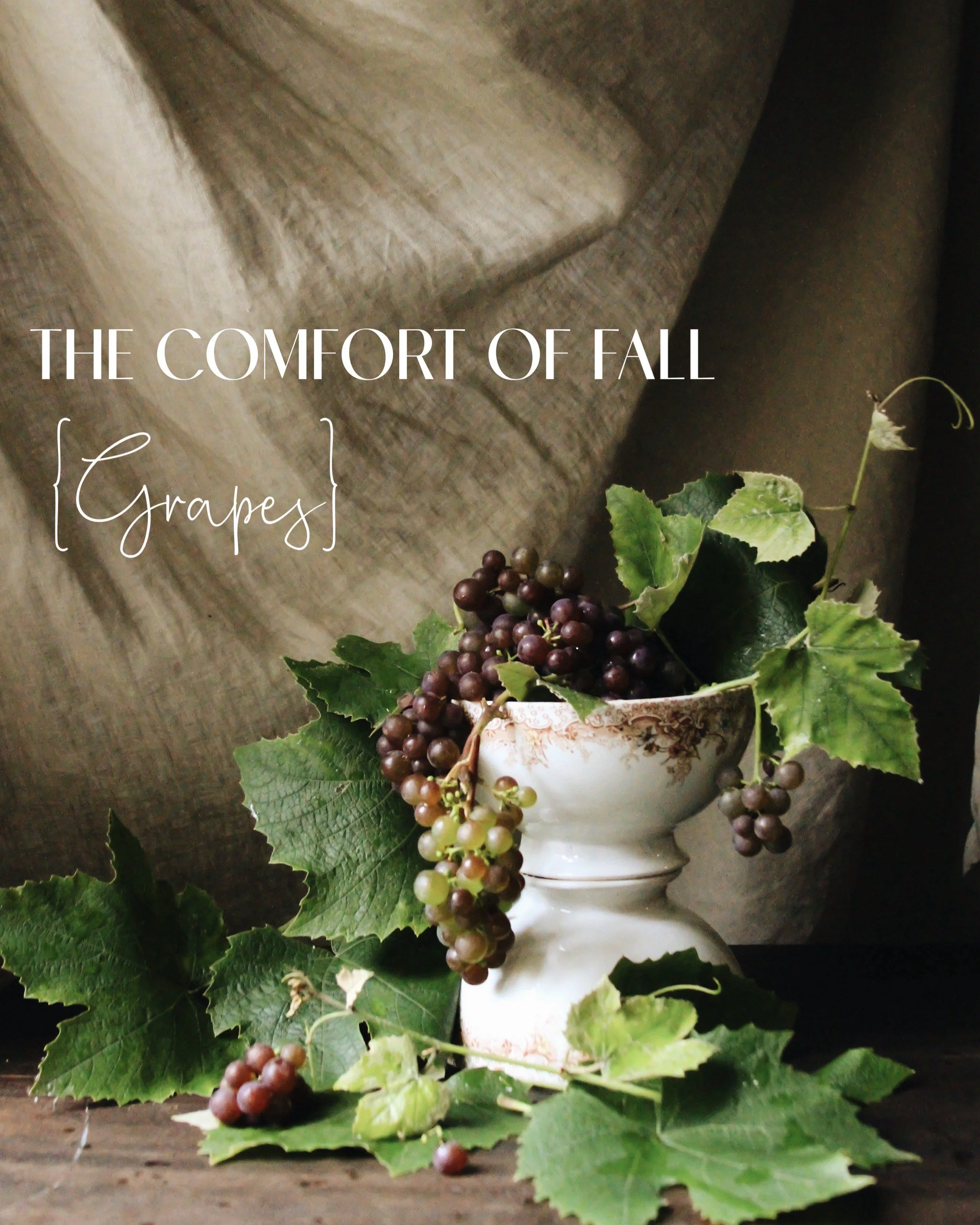 Subscribe To Our Newsletter