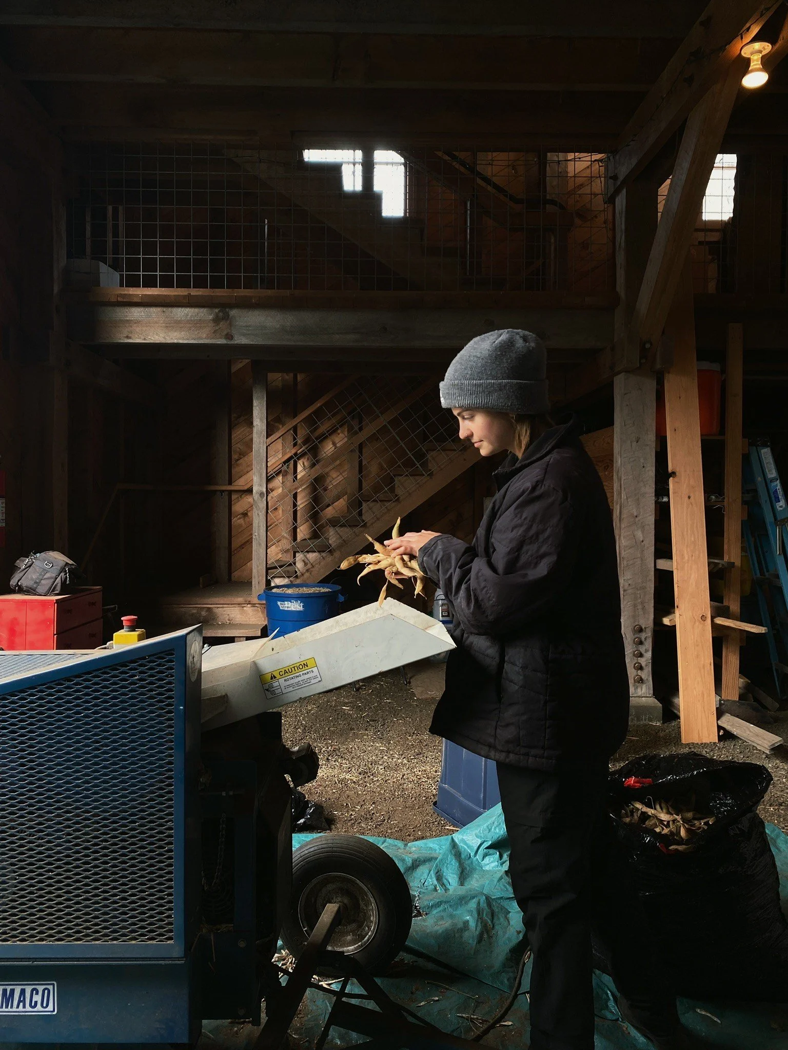 Processing Our Beans