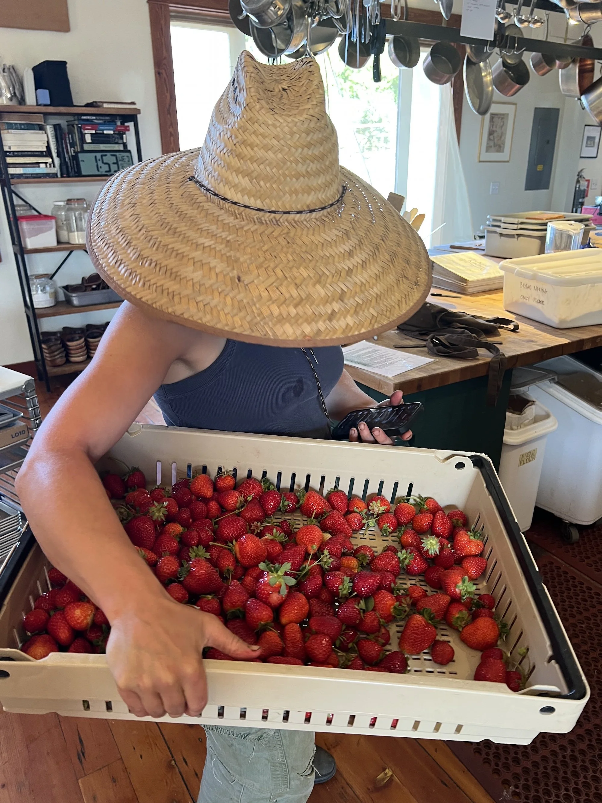 Sarah strawberries.jpg