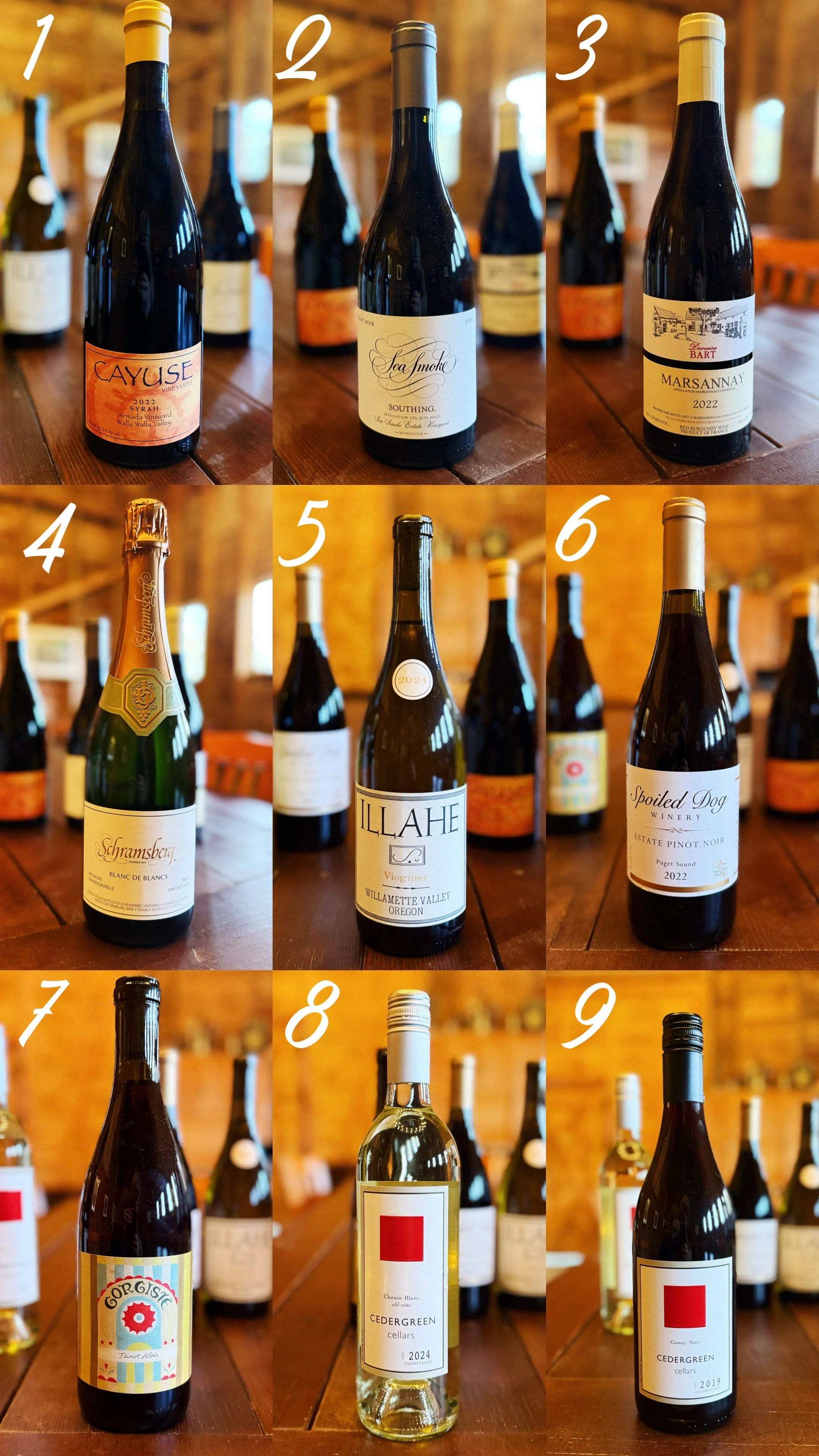 Nine Wines