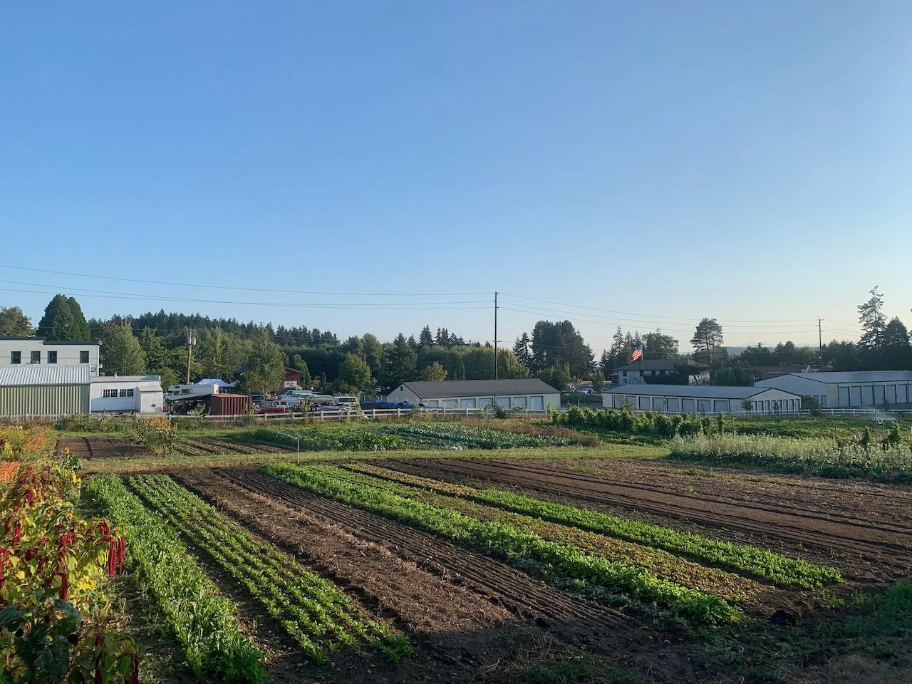 Preparation &amp; Momentum | It's All About the Dirt, Chef &amp; Farmer Collab