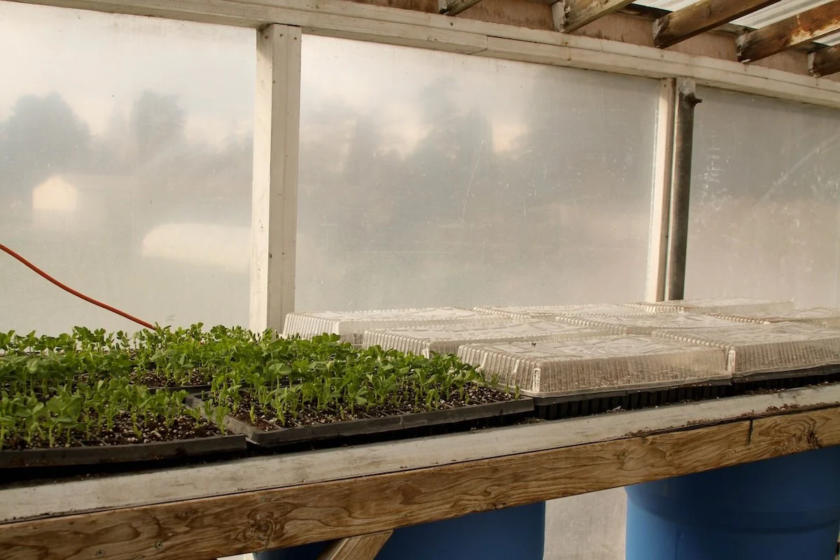 Preparation &amp; Momentum | Signs of Life