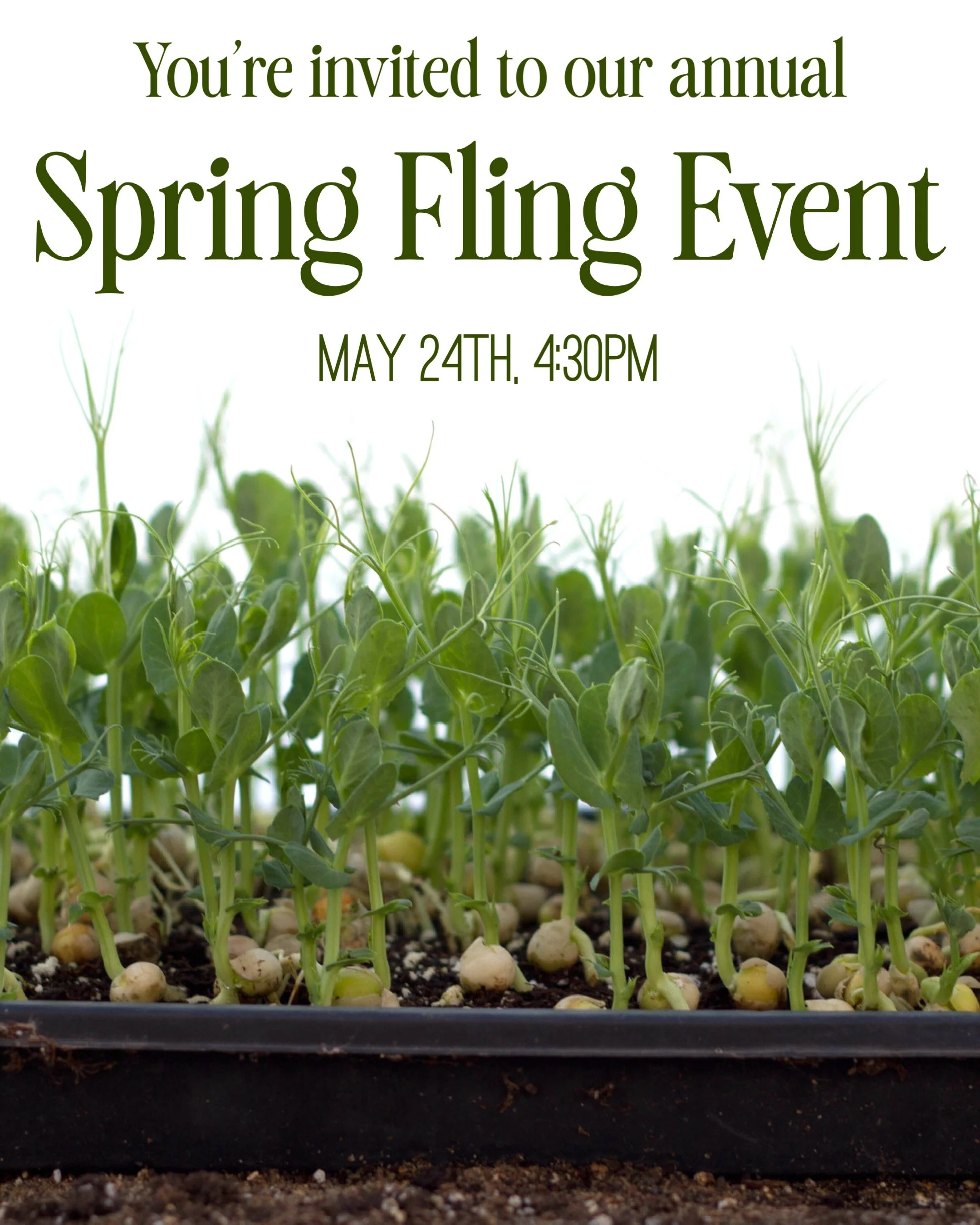 2026 Spring Fling Event - May 24th