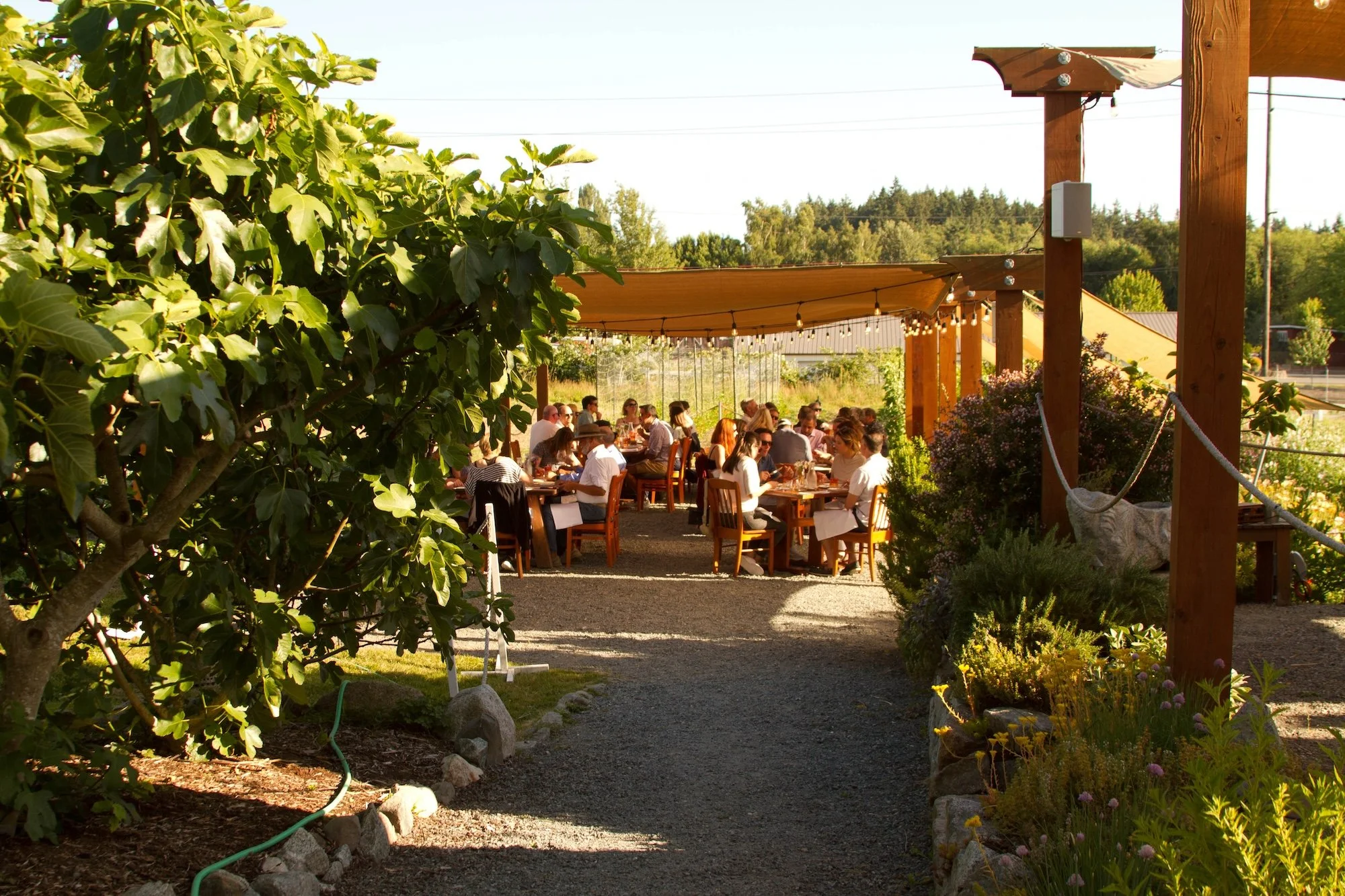 2026 Summer Patio Seating is Ready to book