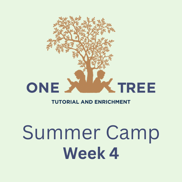 Summer Camp: Week 4