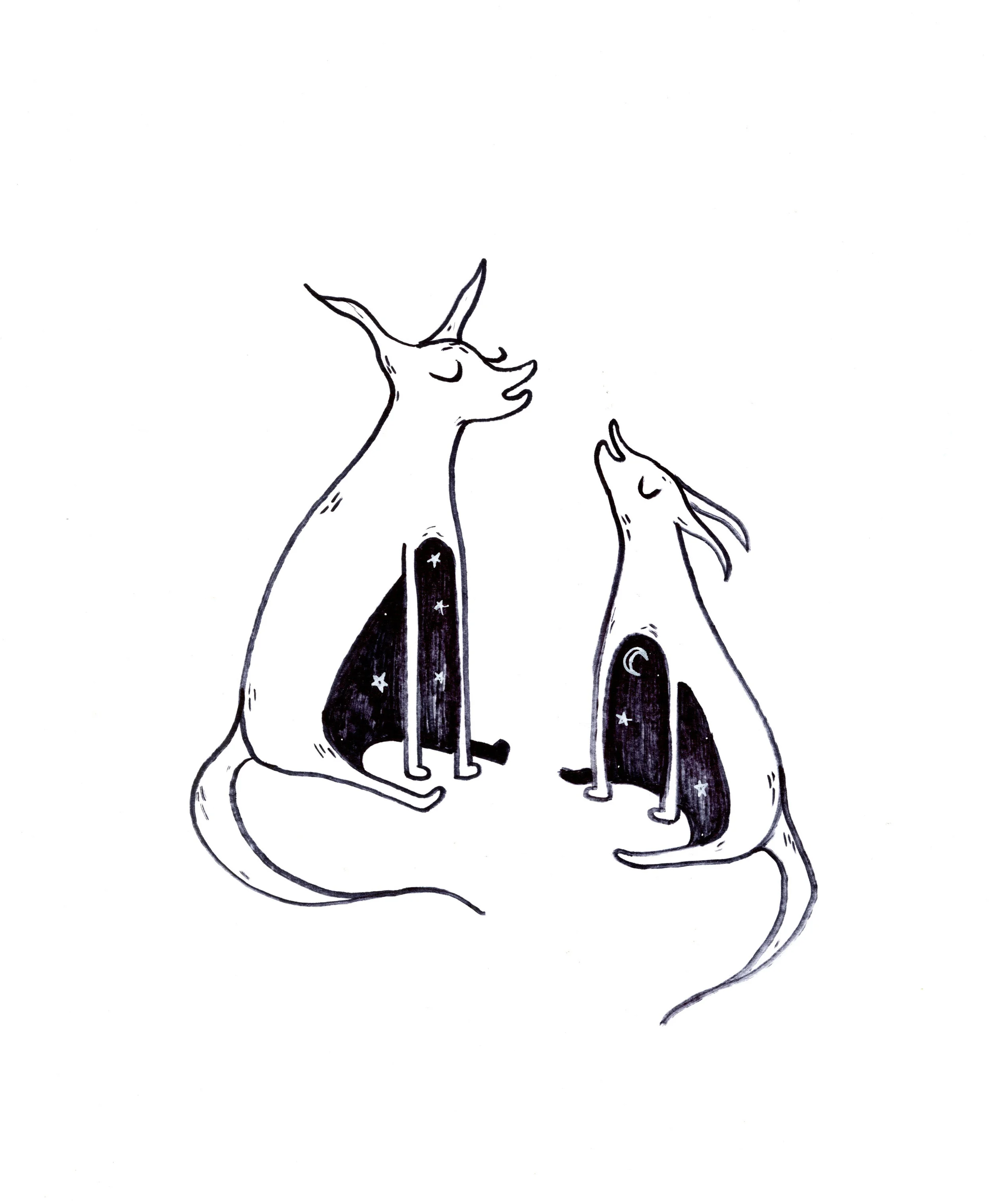the star bellies