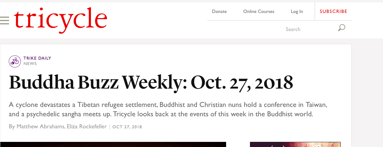 Trike-psychedelic sangha B.png