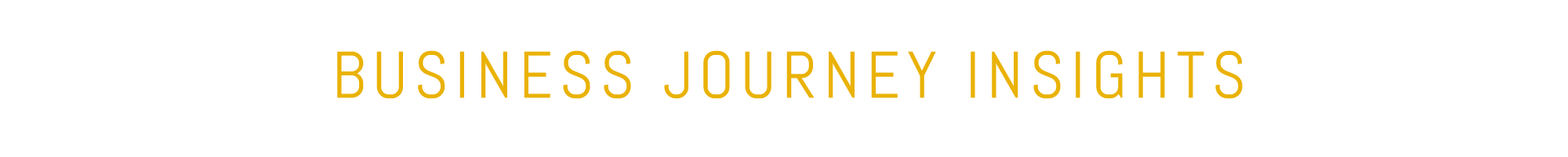 business-journey-insights.png