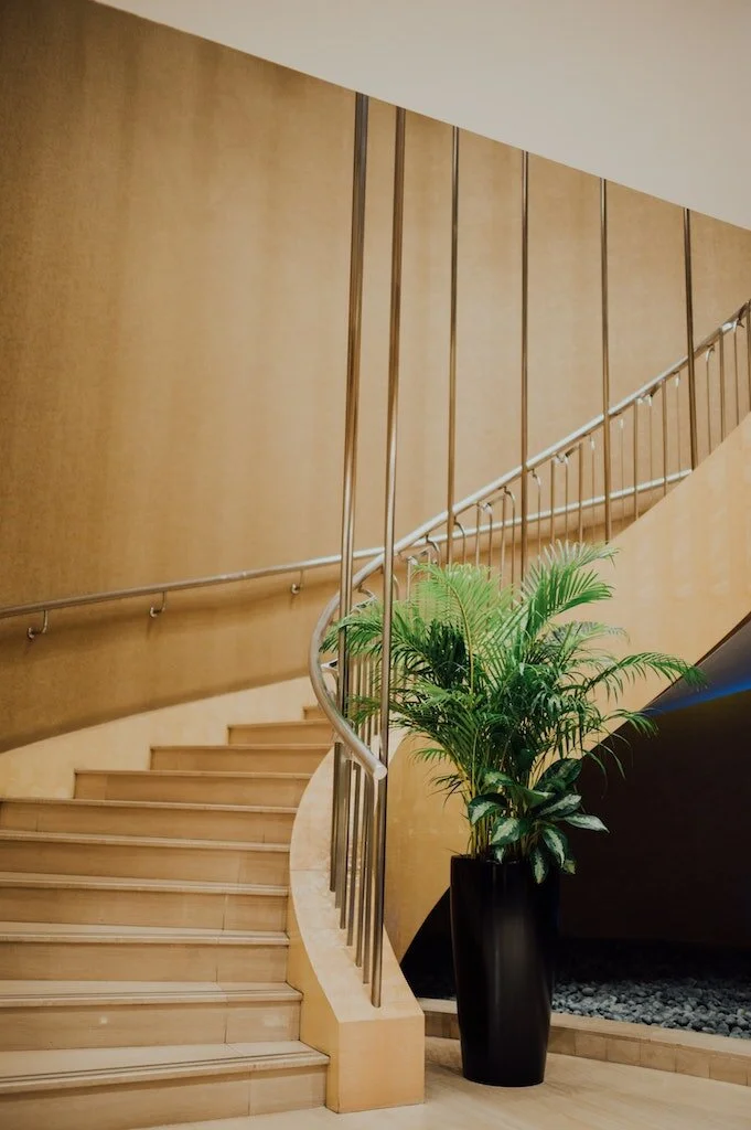 Ways to Boost the Efficiency Levels of Your Business's Team