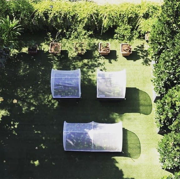 Simon Holloway Sales &amp; Marketing Director of Vegepod Global talks Business 