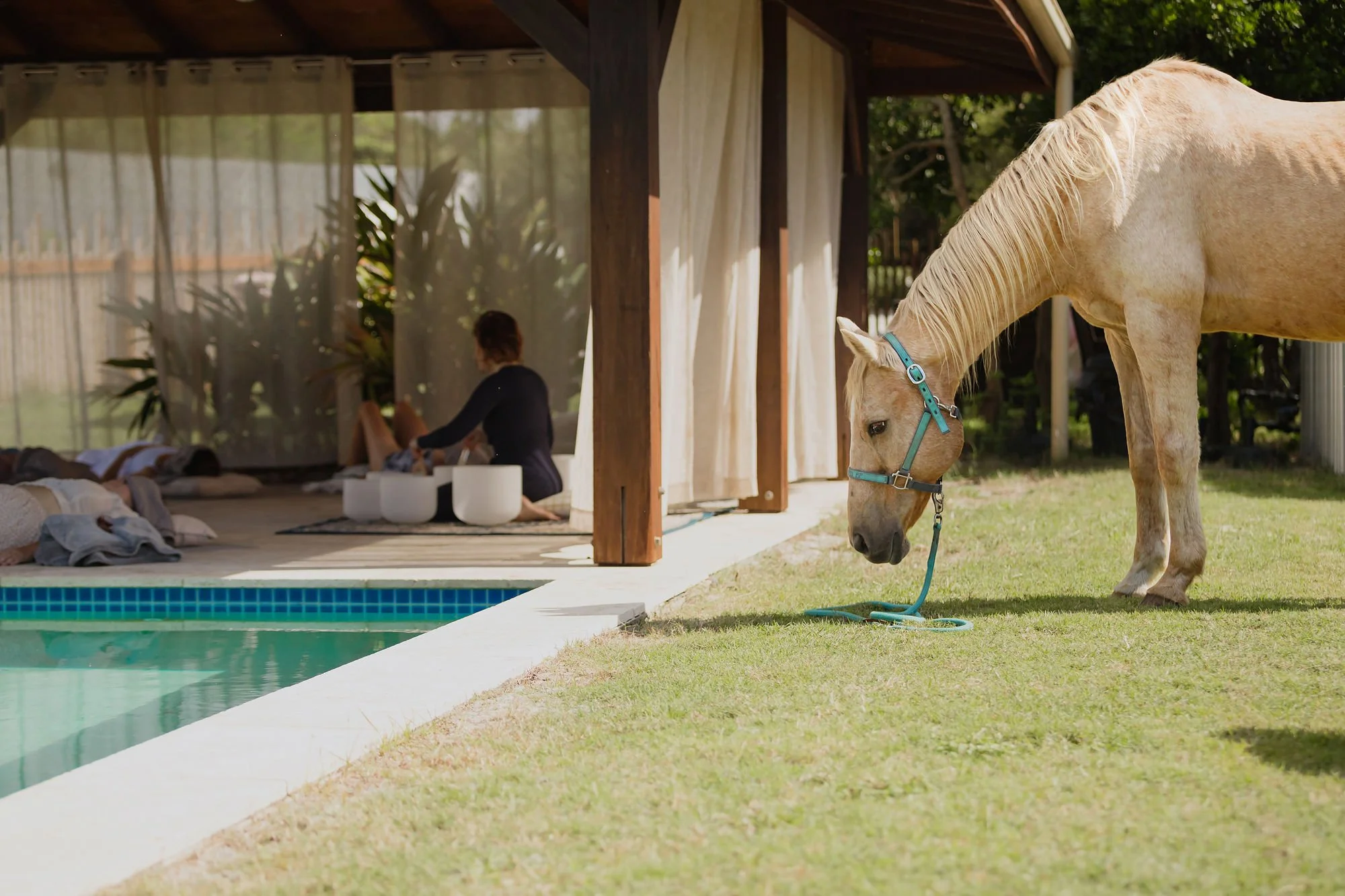 A Journey of Legacy and Renewal: The Creation of Sugar Beach Ranch