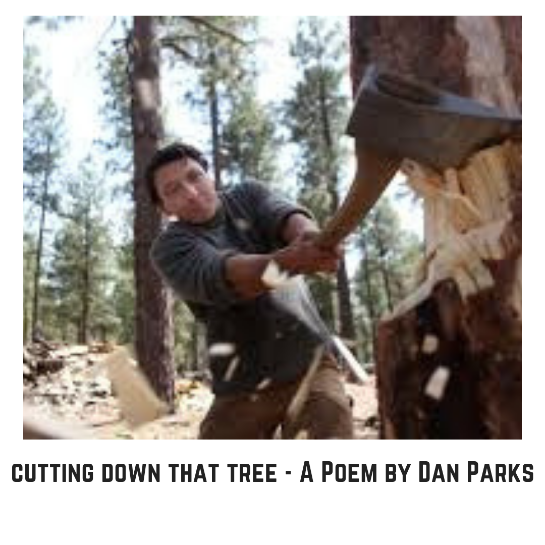 cutting down that tree