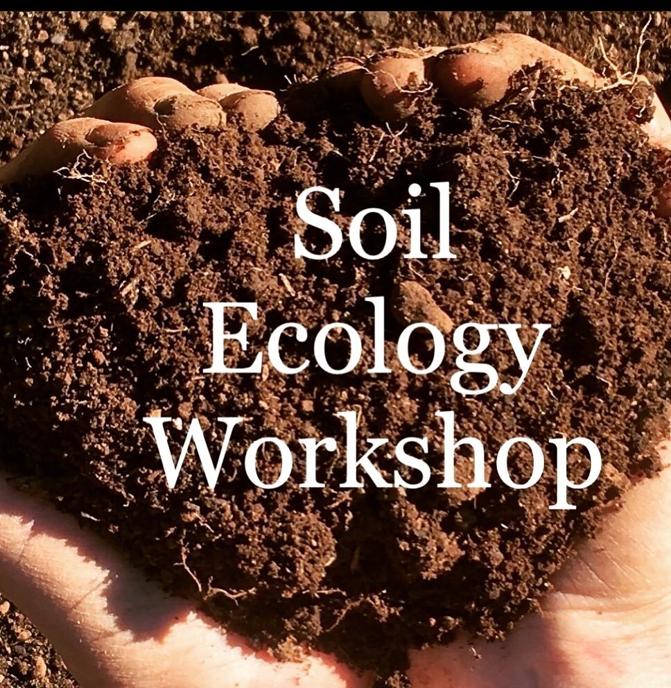 This comprehensive and inspiring workshop will provide participants an opportunity to further their understanding of the vast world of soil biology. Come see first hand how rethinking your soil management practices reduces weed, disease, and pest pre