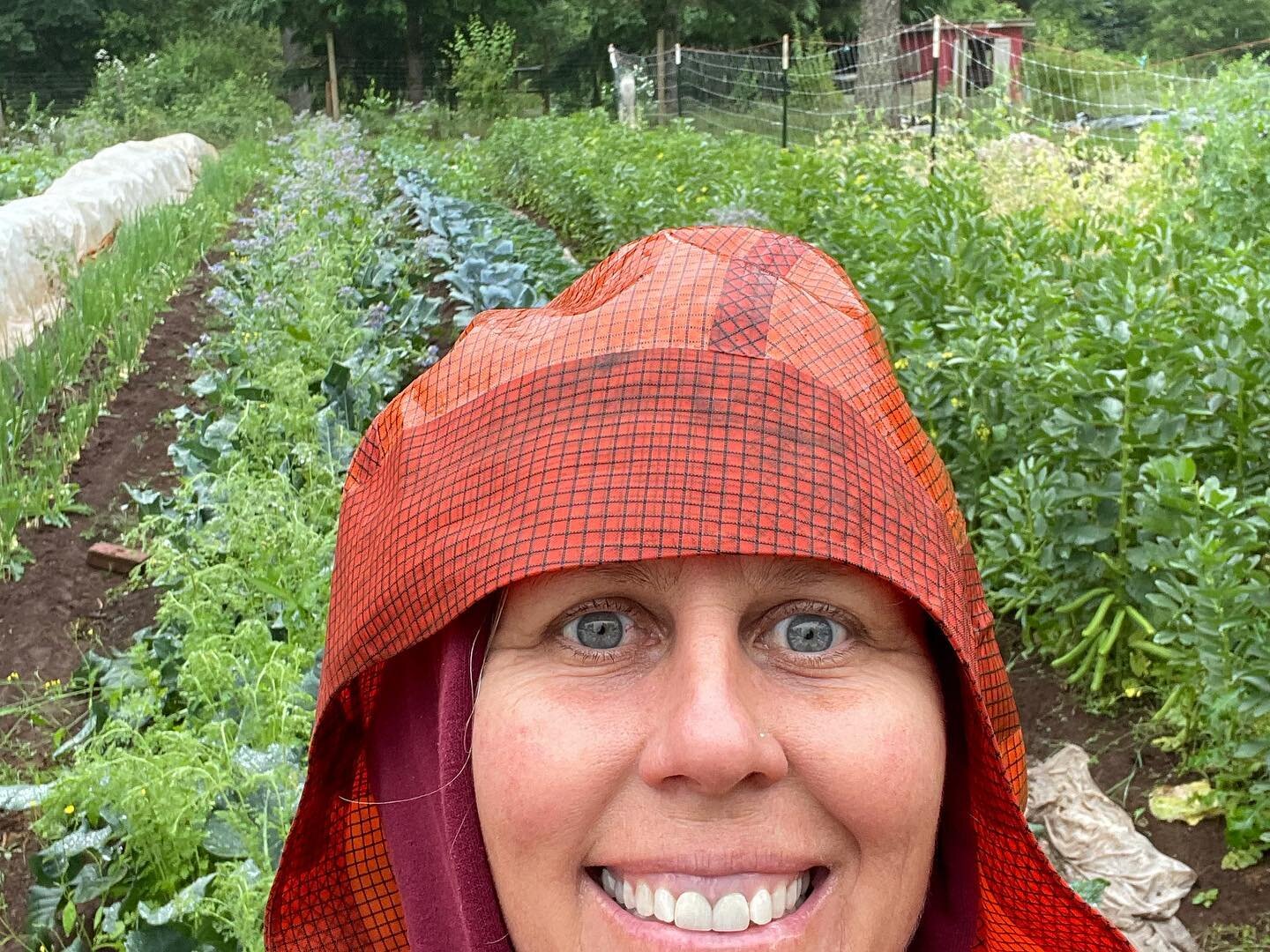 While my mood is pretty somber these days, this week&rsquo;s CSA share has some of my farm favorites and put a smile on my face : Fava beans, garlic scapes, summer squash, heirloom zucchini, tendersweet cabbage, cauliflower, peas, salad mix, lacinato