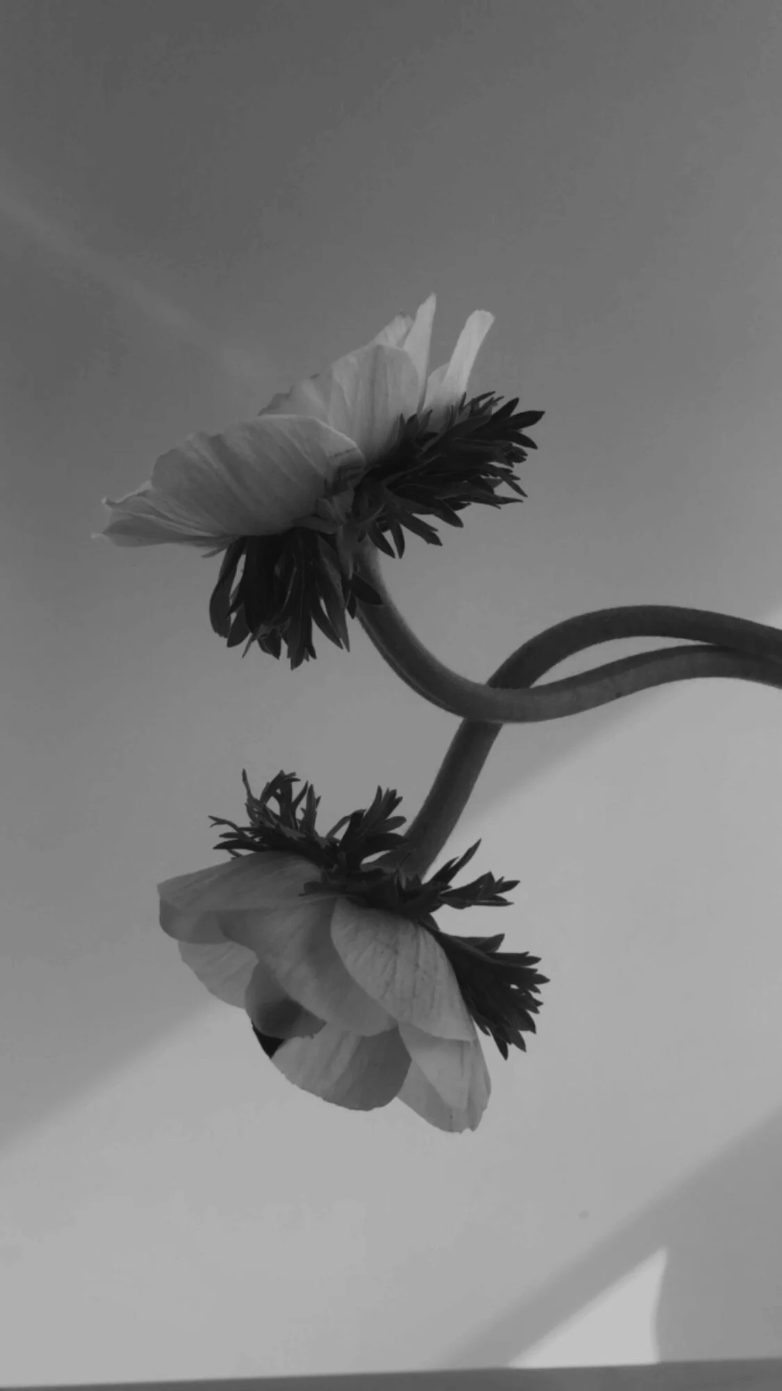 730AEDAE-E398-42FB-858F-D1B25063C918 2.JPG