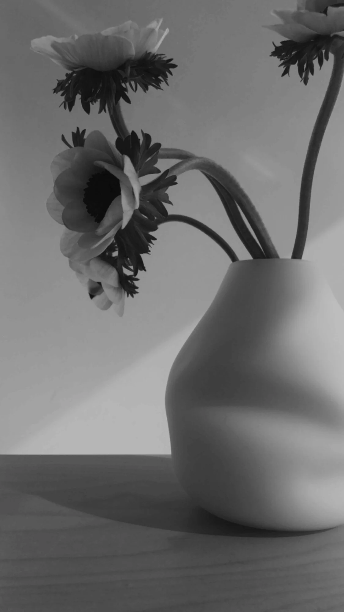 9AED842A-70D3-4042-B26C-87A21BFE9609 2.JPG