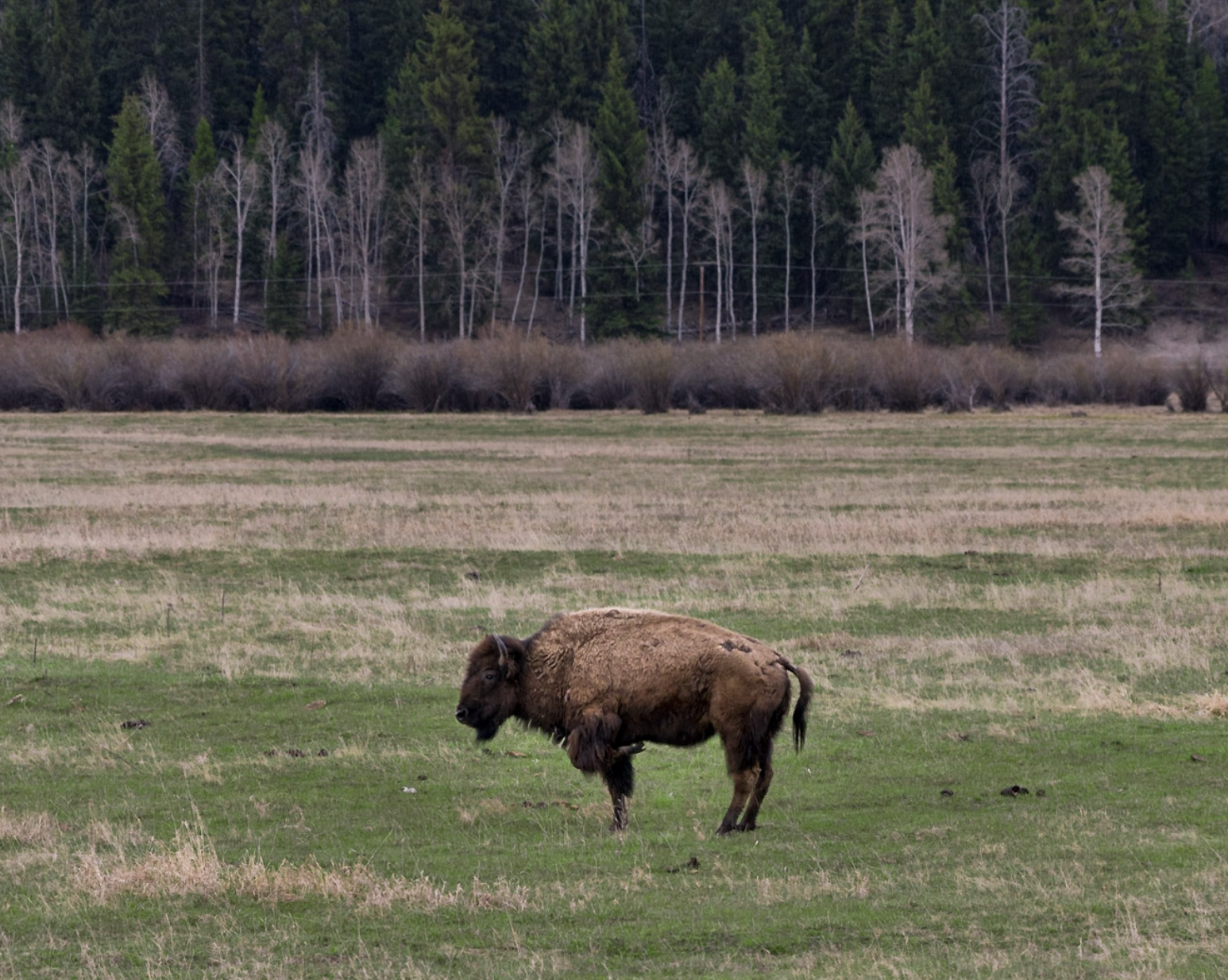 Screenshot 2026-03-25 at 9.58.46 PM.png