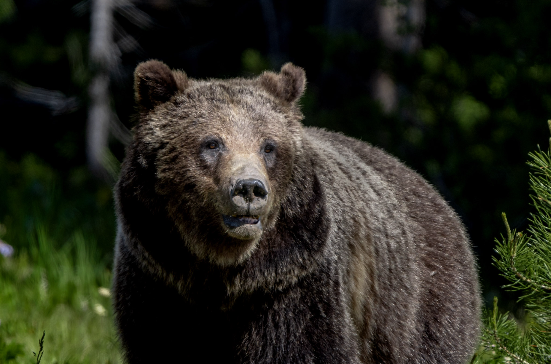 Screenshot 2026-03-25 at 9.59.24 PM.png