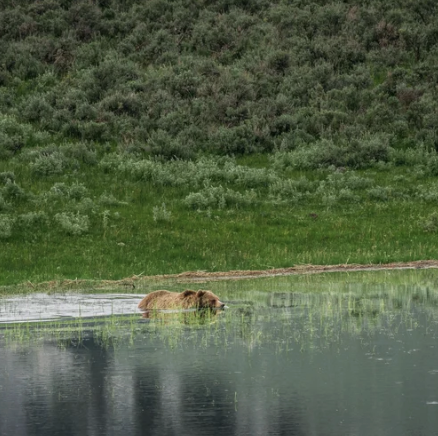 Screenshot 2026-03-25 at 10.13.39 PM.png