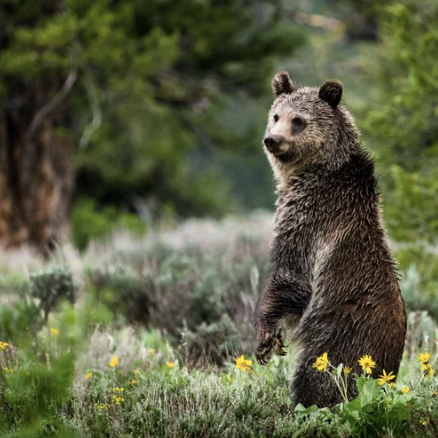 Screenshot 2026-03-25 at 10.13.30 PM.png