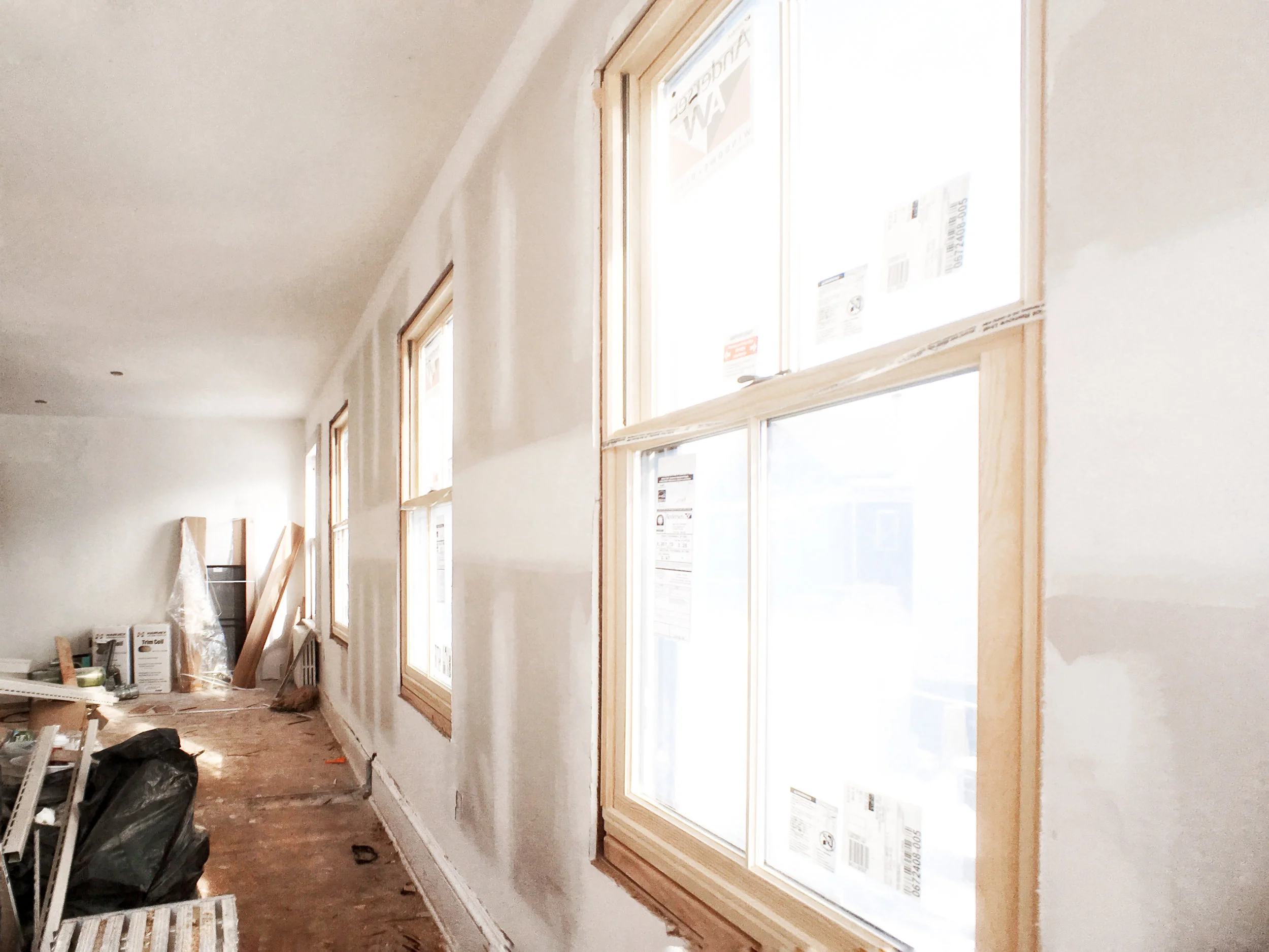 We have officially created greenhouse-like conditions in our living and dining rooms.