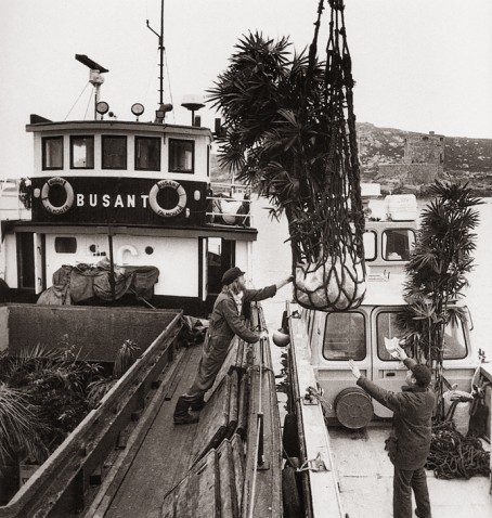 Unloading tree consignment