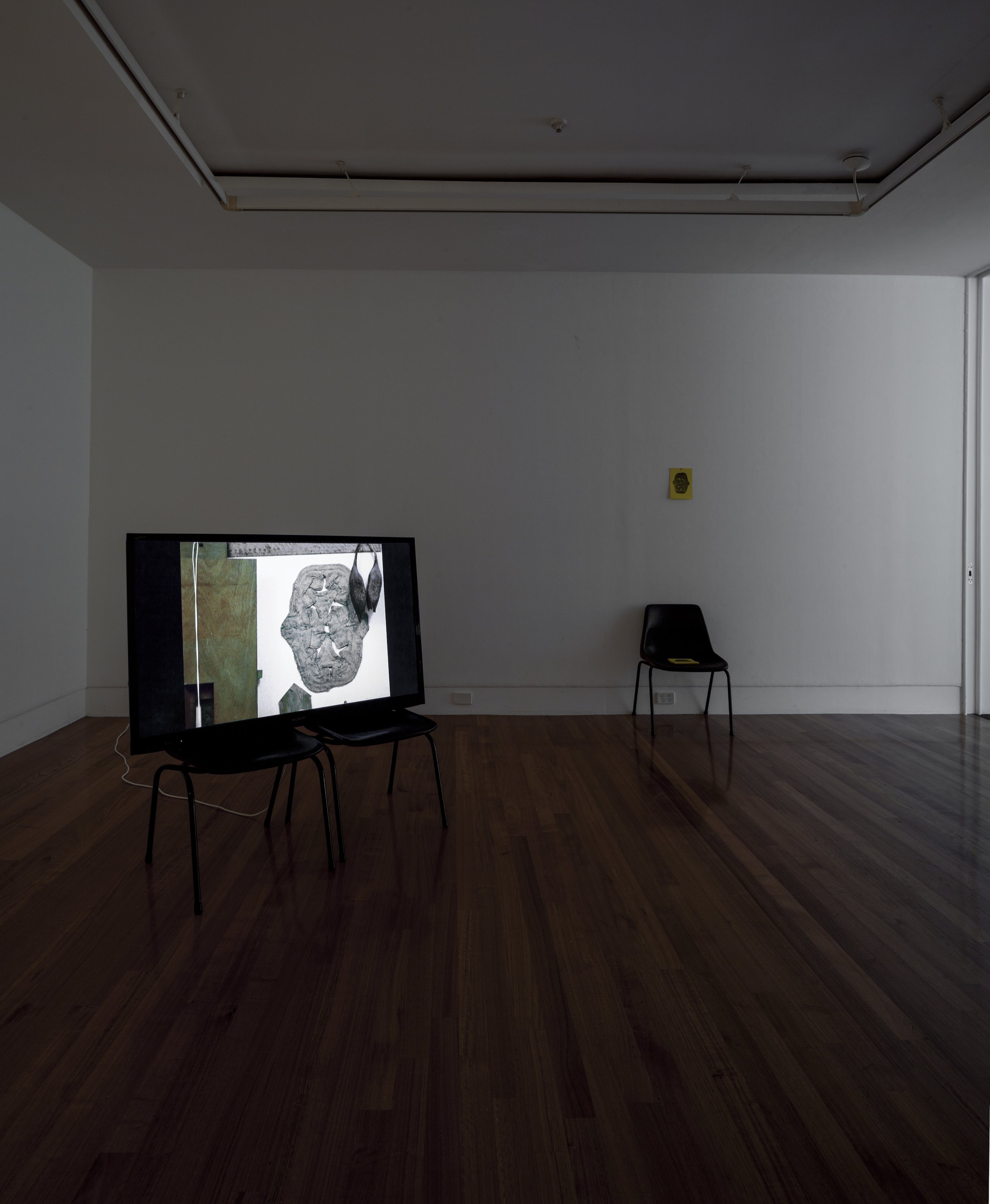  (Installation view) photo by Sam Hartnett 