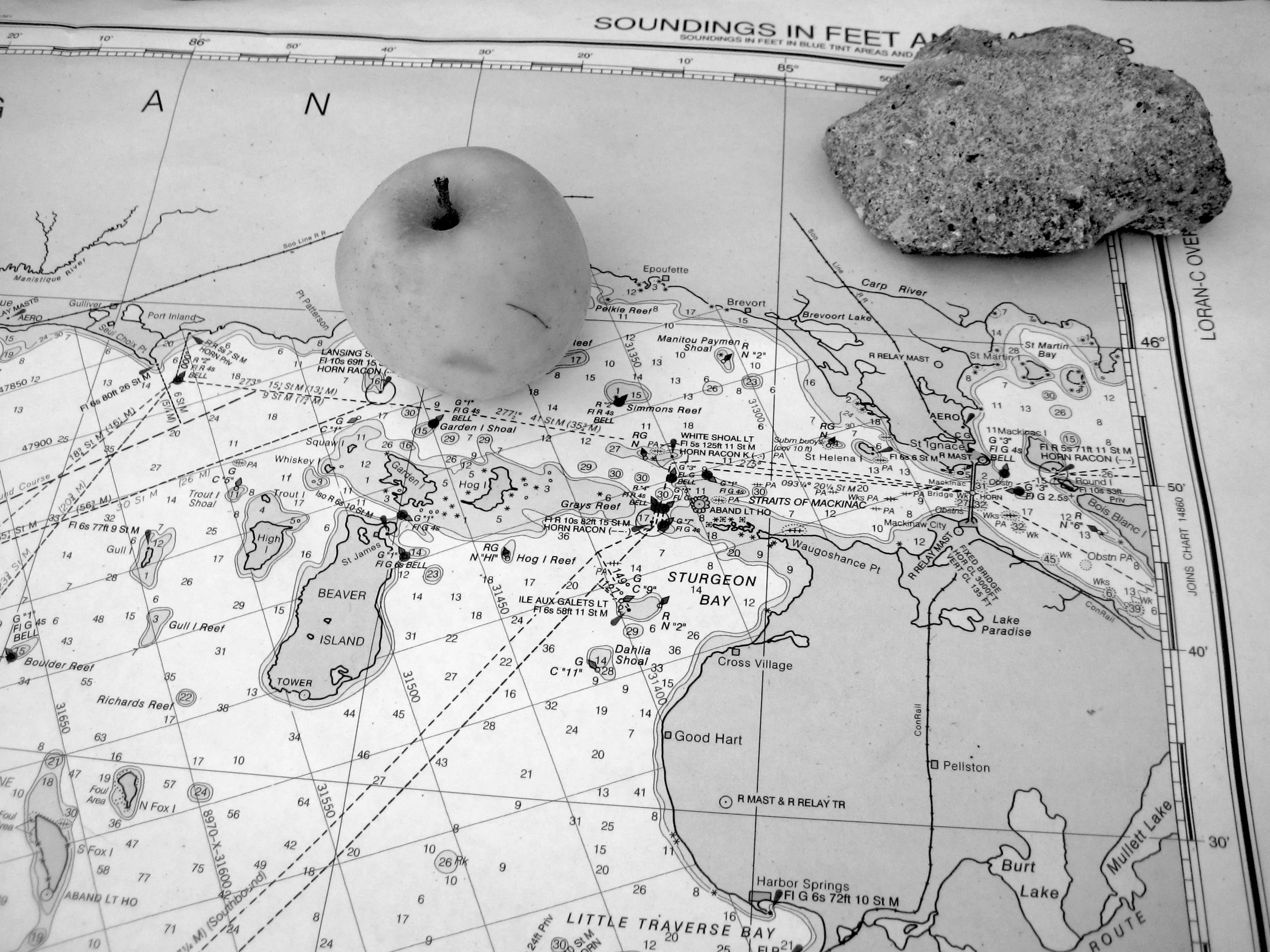 Curating Close Encounters