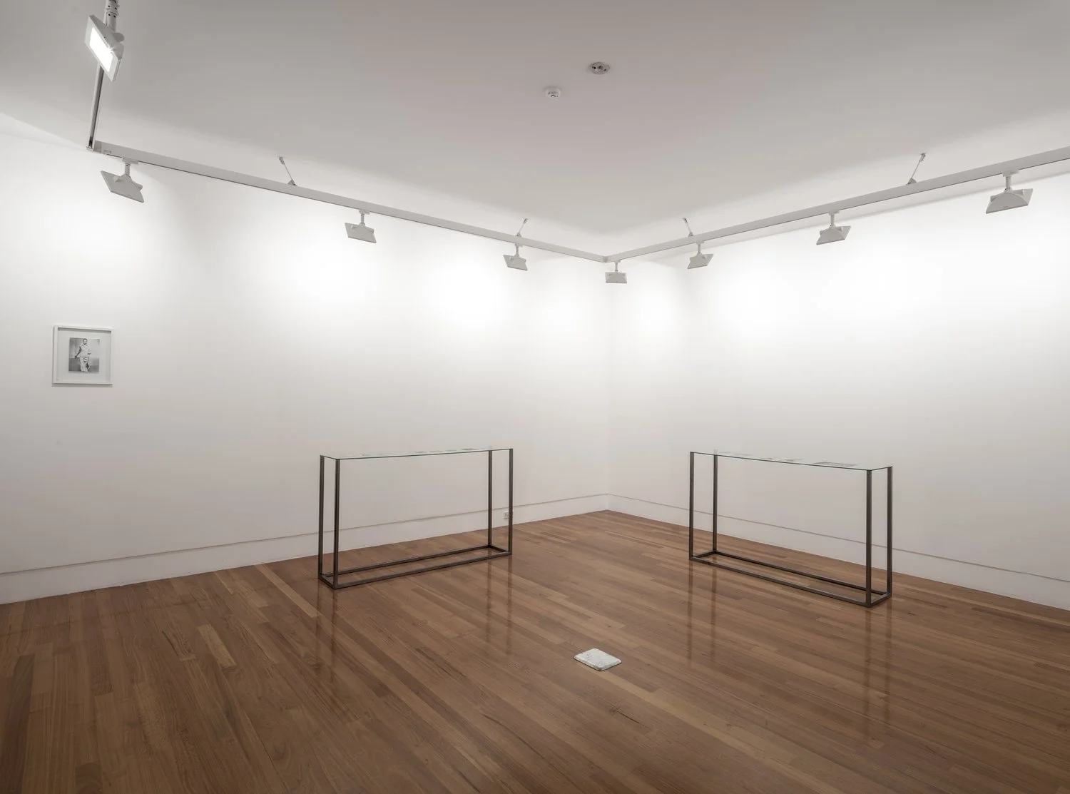 Sonya Lacey: Greentext Thread 