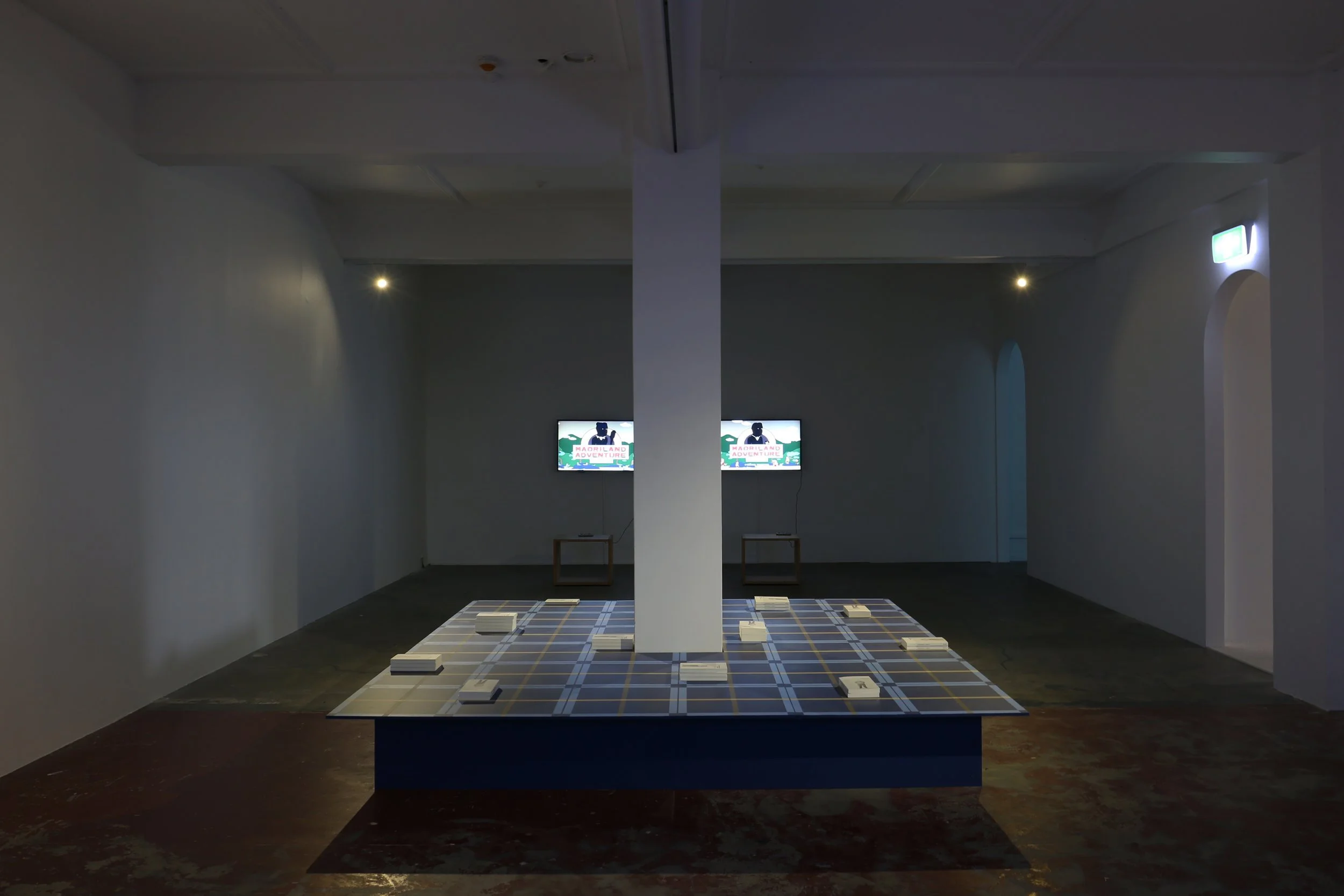   Share/Cheat/Unite  installation view, The Physics Room, photo by Daegan Wells. 