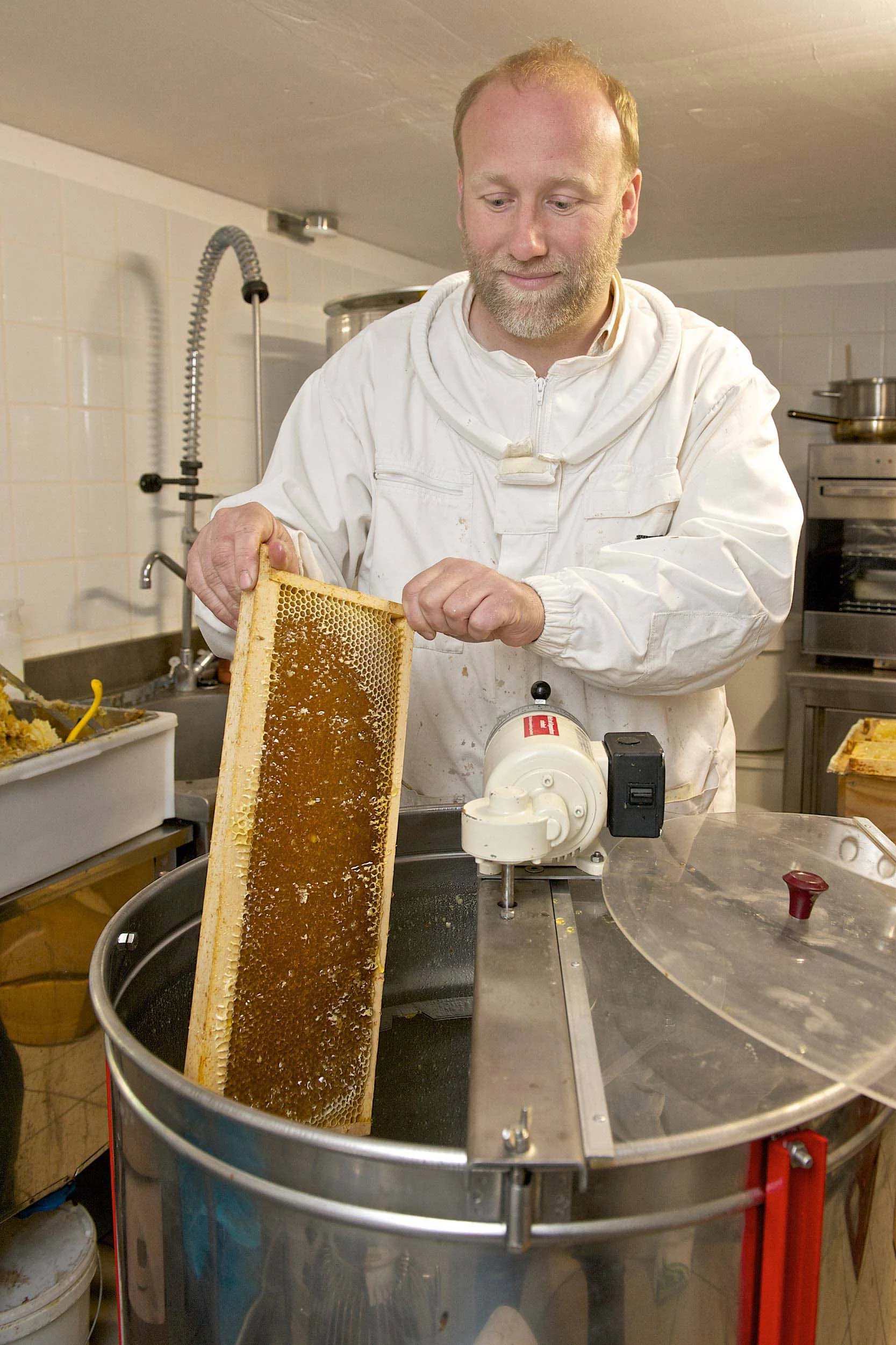 l-abeille-selestadienne-2.jpg