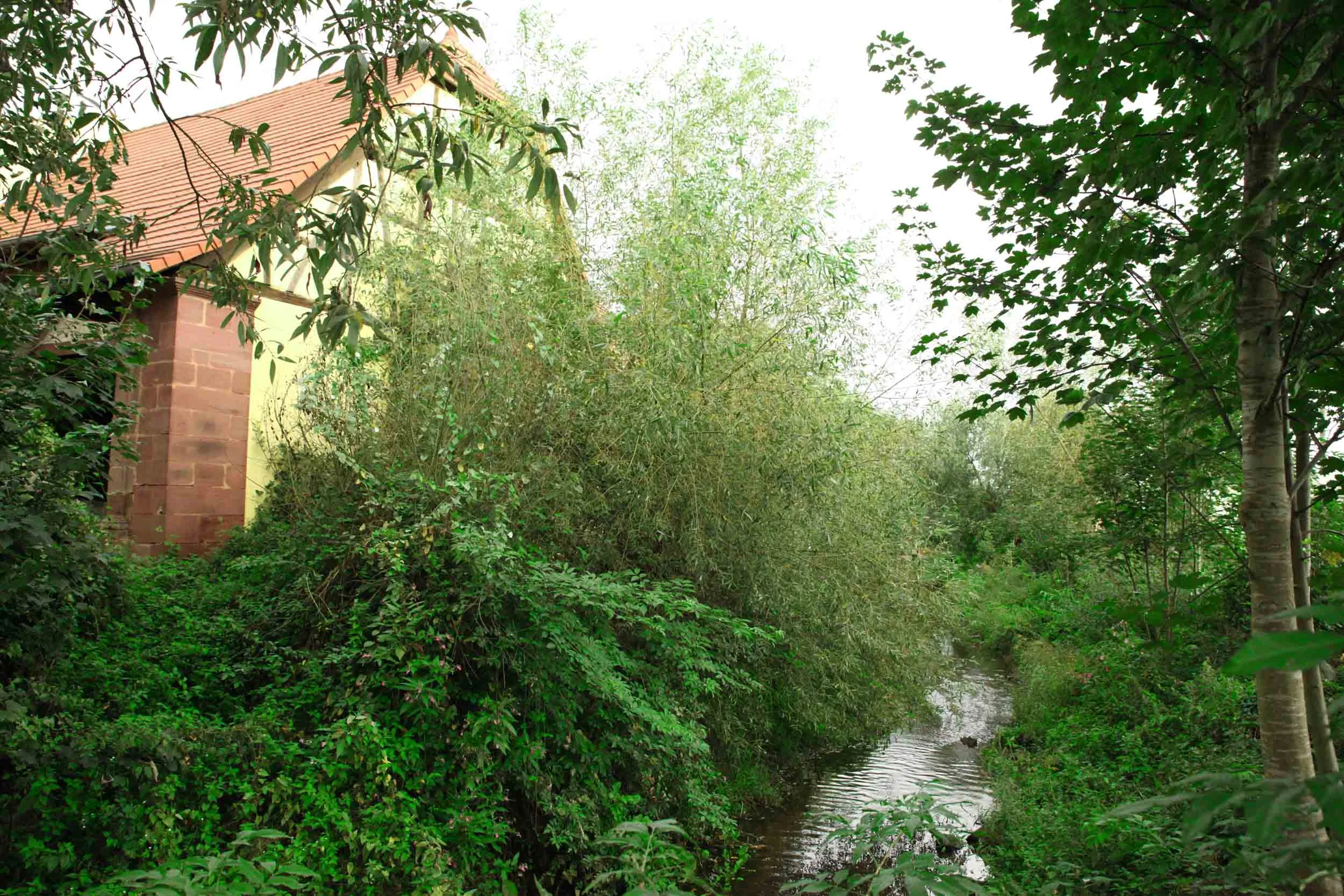 moulin-des-peupliers-2.jpg