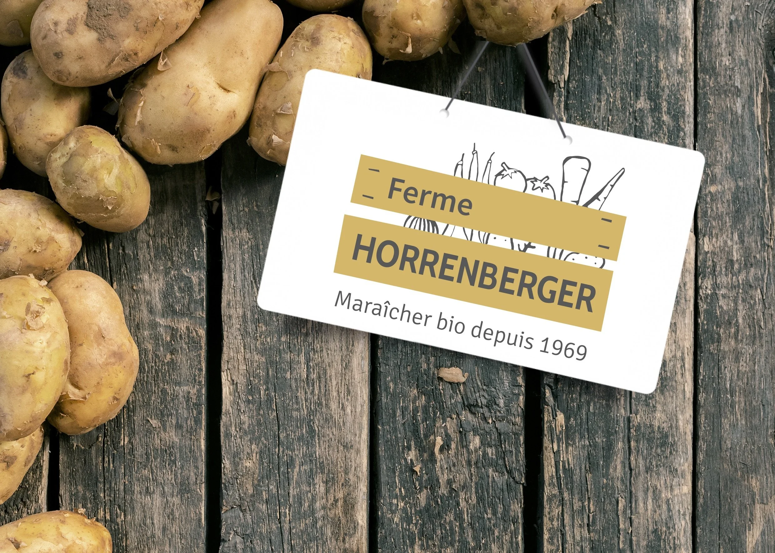 FOIRES AUX LEGUMES D’HIVER