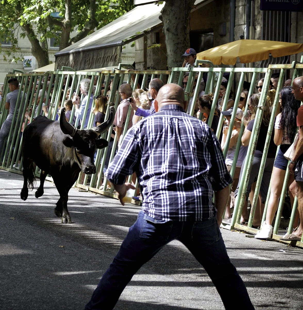 Uzes Abrivado - Bullheaded_WithAdjustments-2.jpg