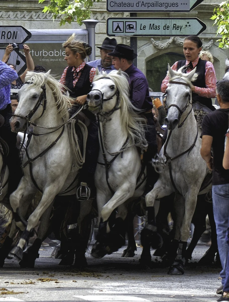 Uzes Abrivado - Teamwork_WithAdjustments-3.jpg