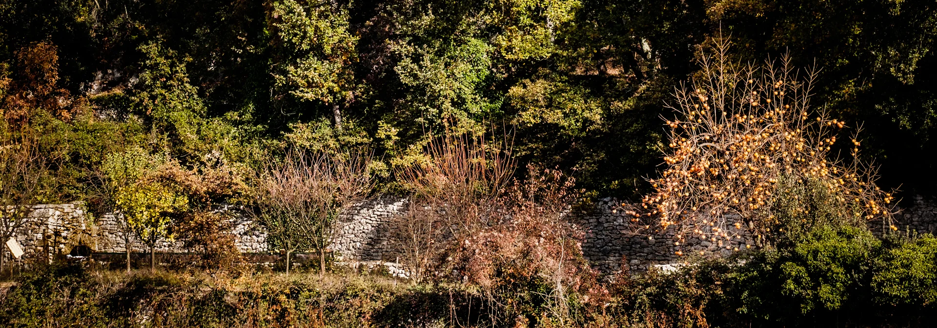 5-DSCF9032-5.jpg